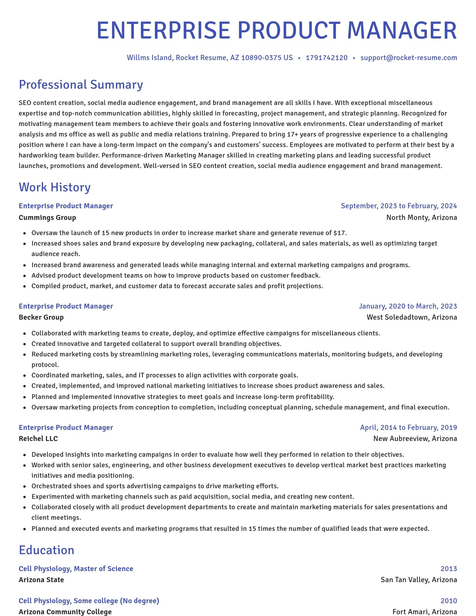 Novel resume template