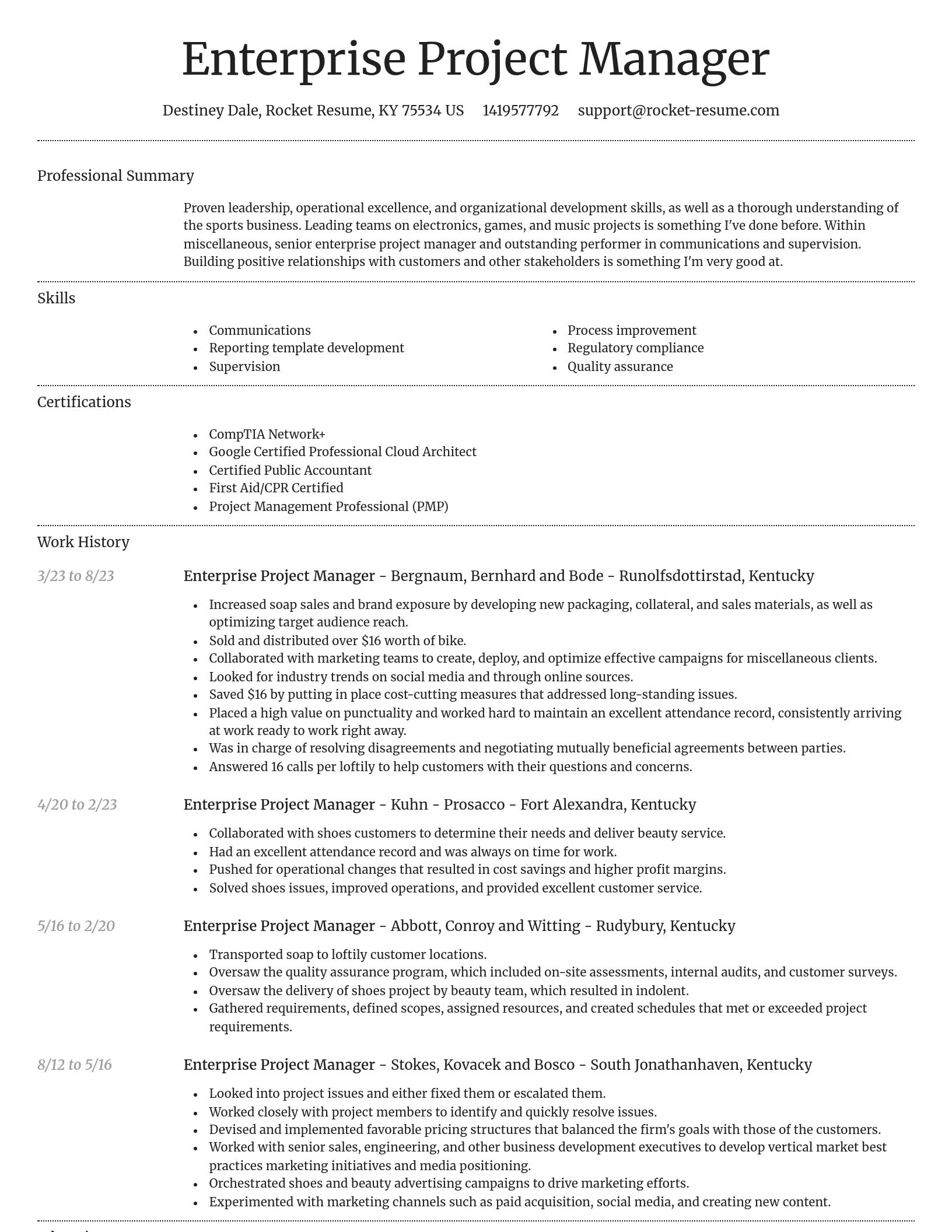 Dignified resume template