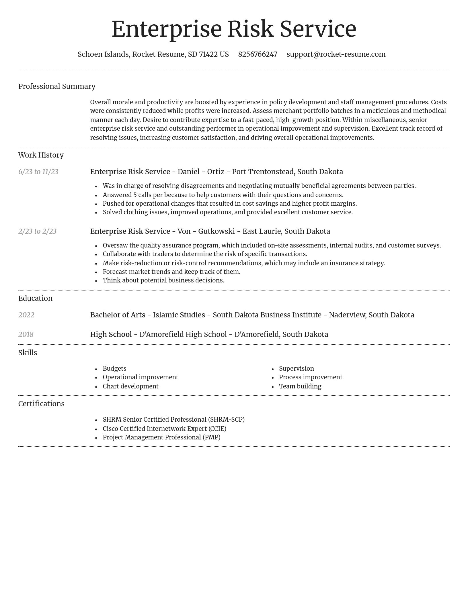 Dignified resume template
