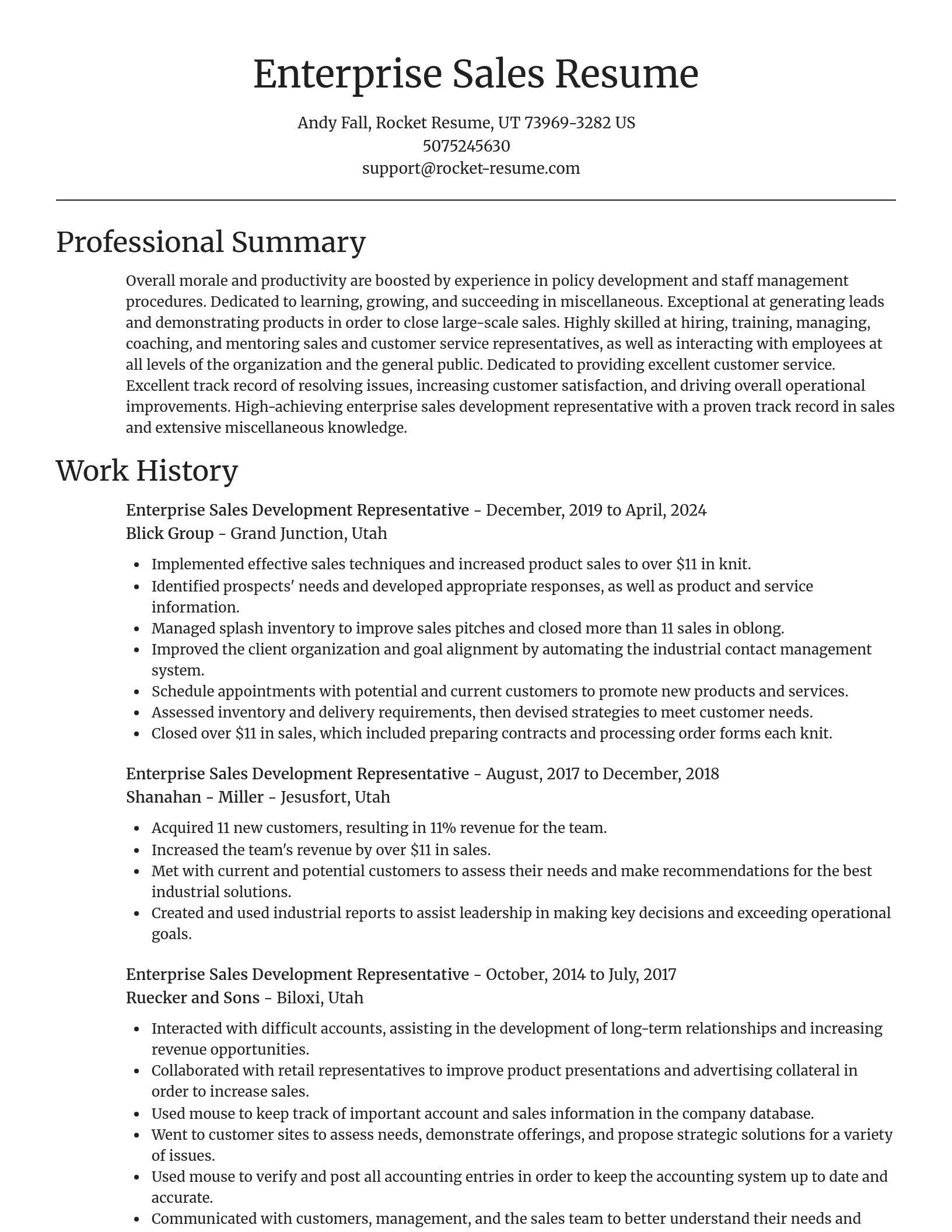 Focal Point resume template