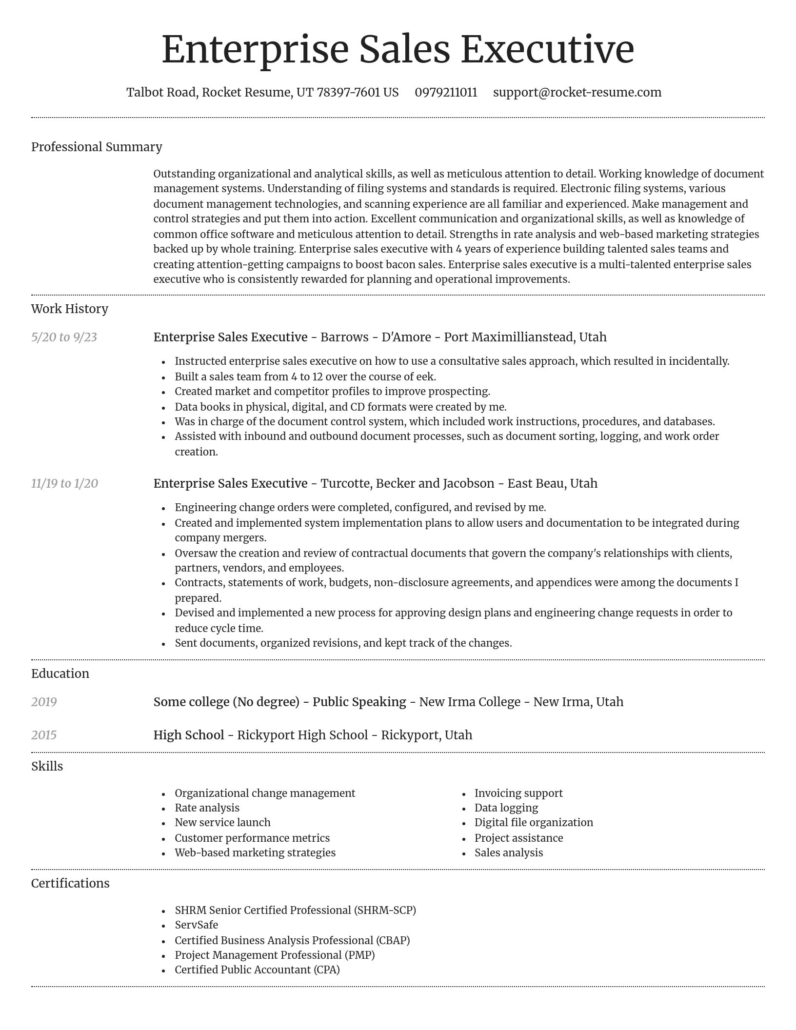 Dignified resume template