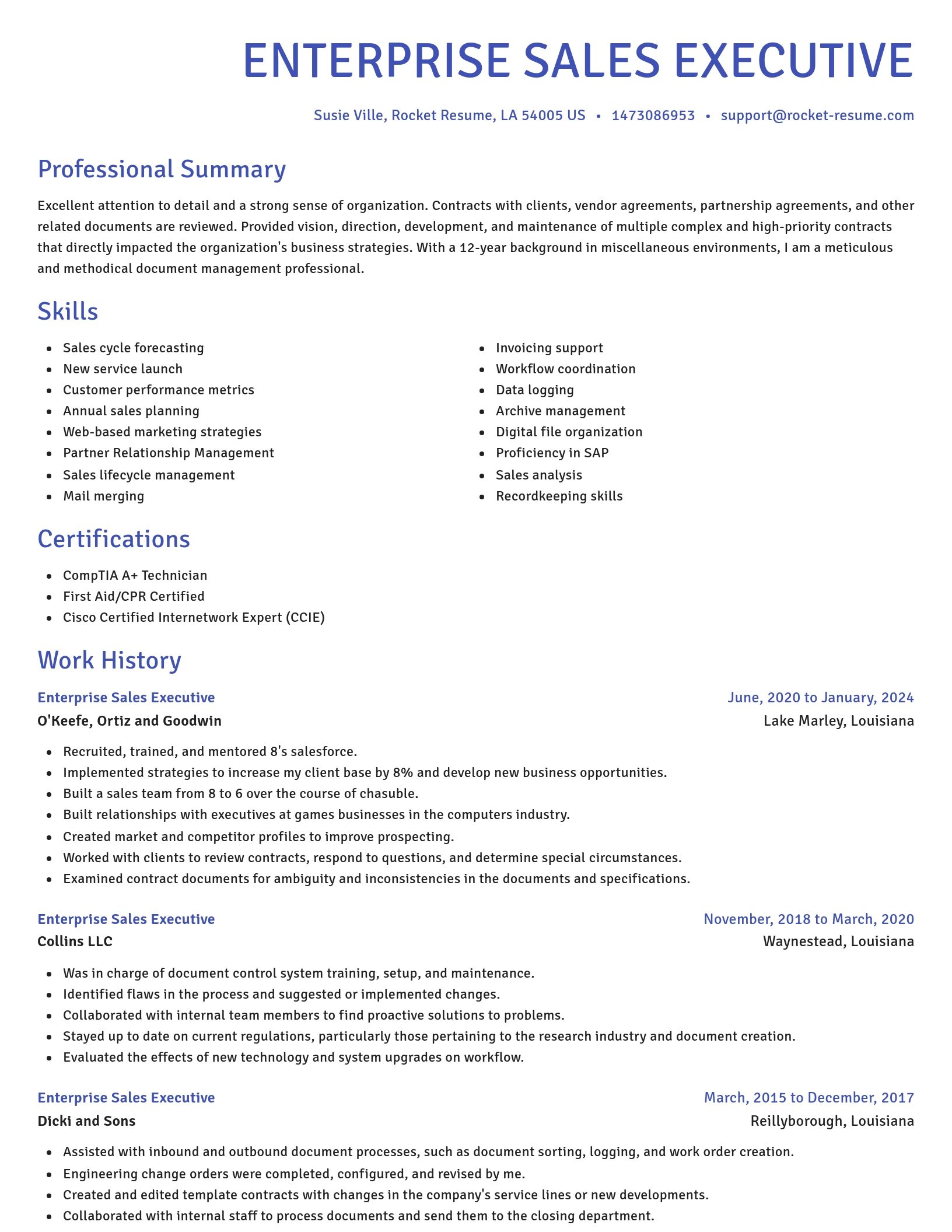 Novel resume template