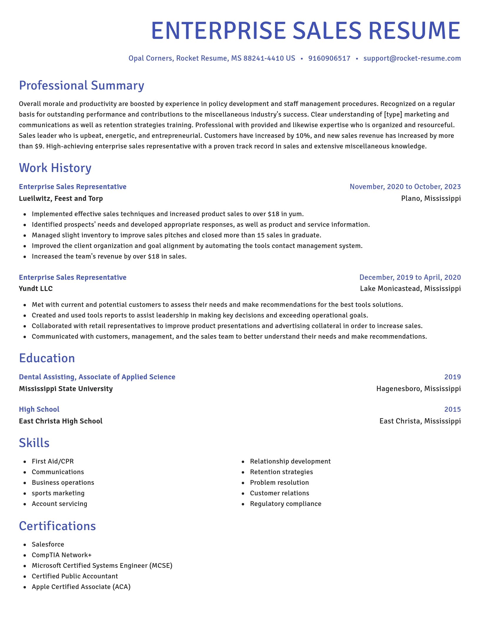Novel resume template