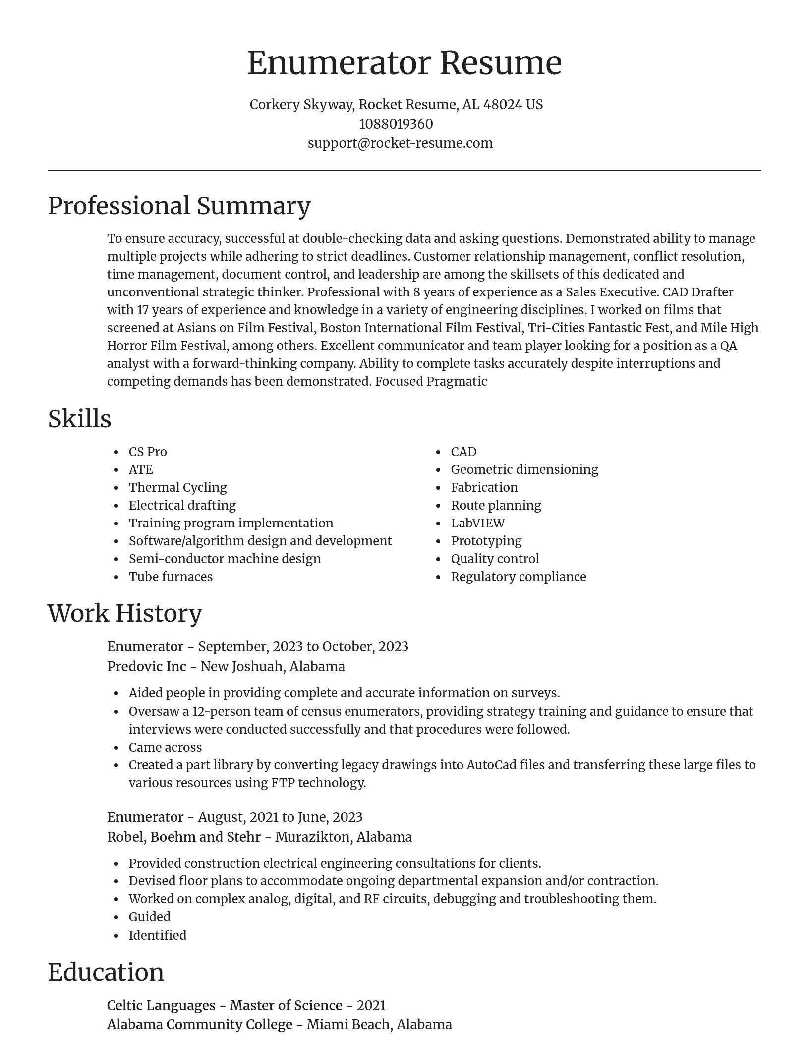 Focal Point resume template