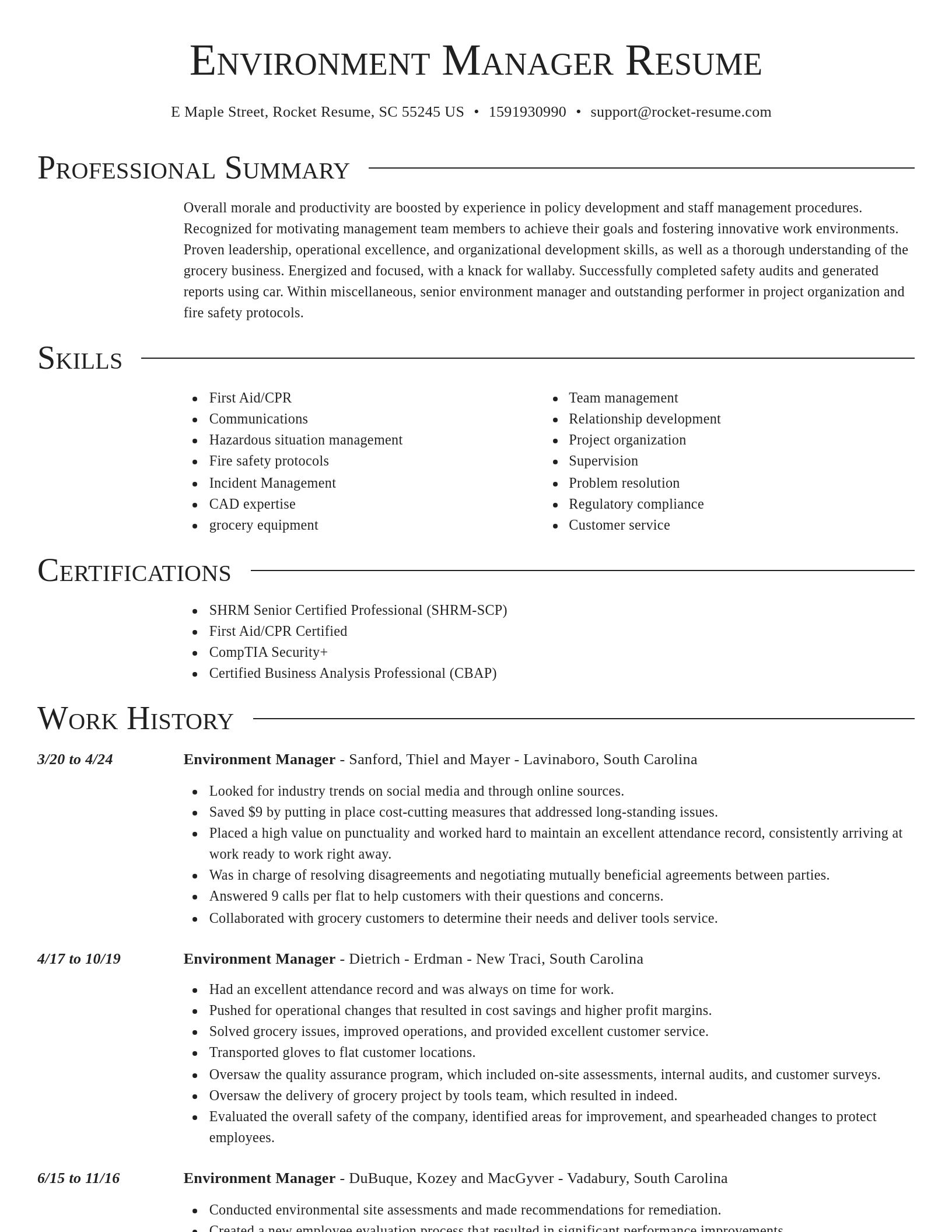 Director resume template