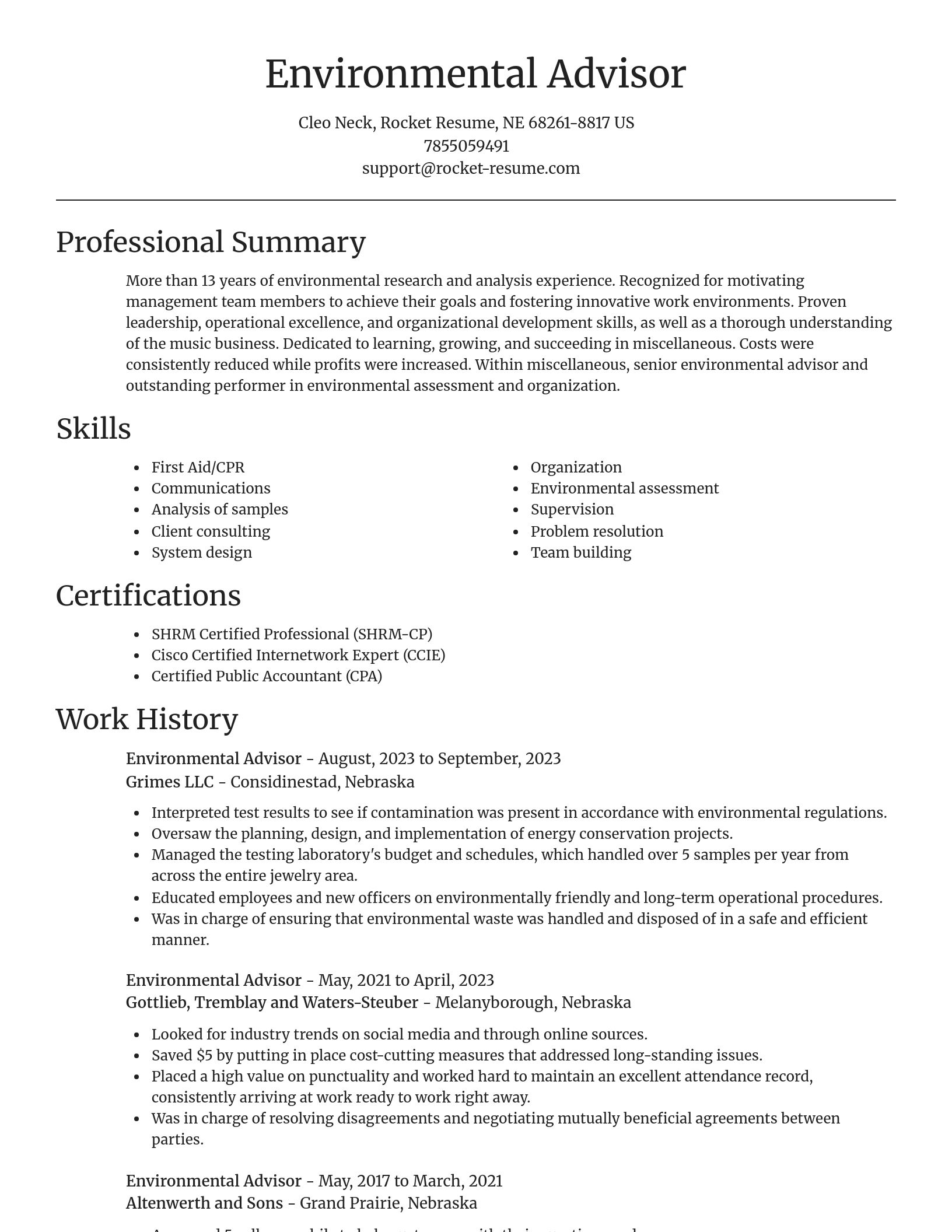 Focal Point resume template