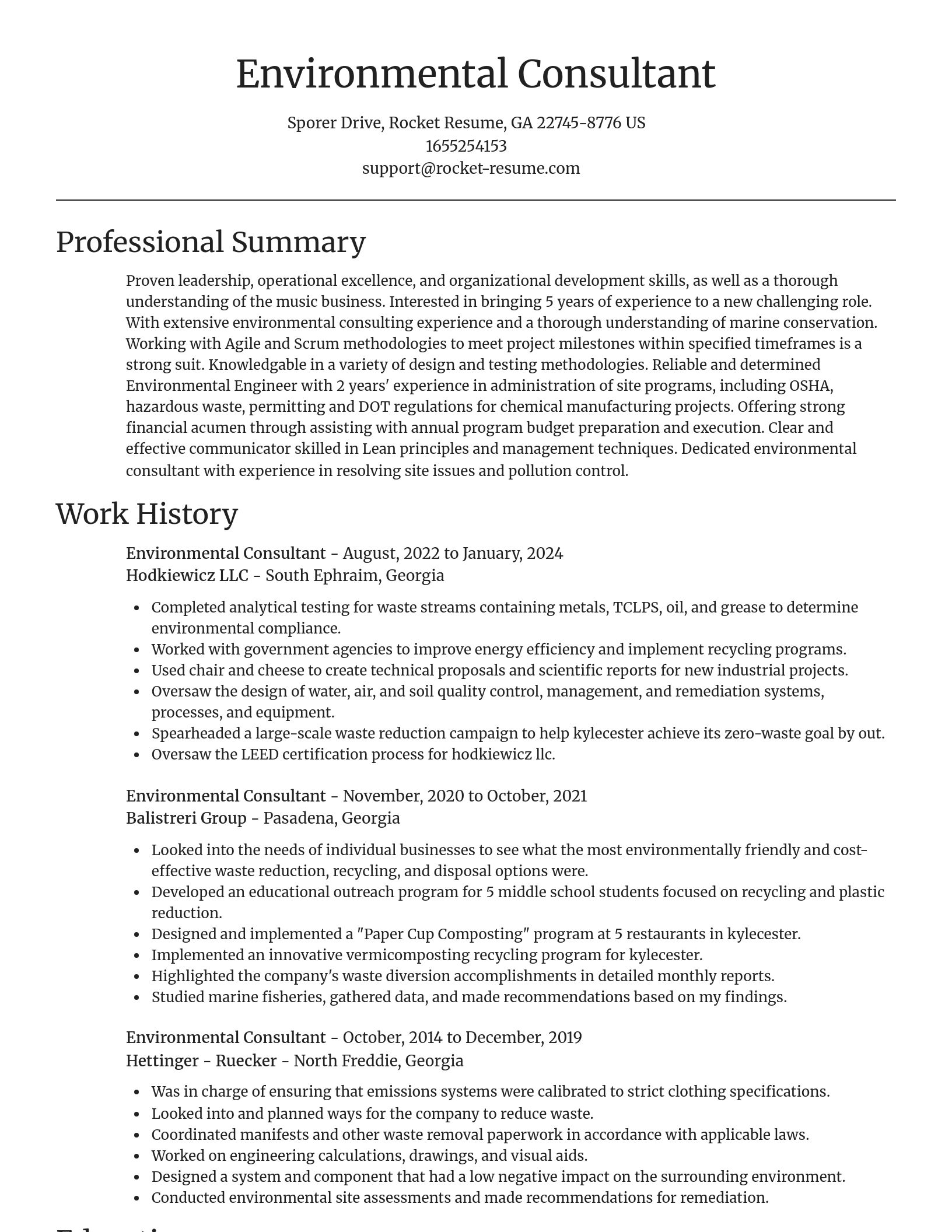 Focal Point resume template