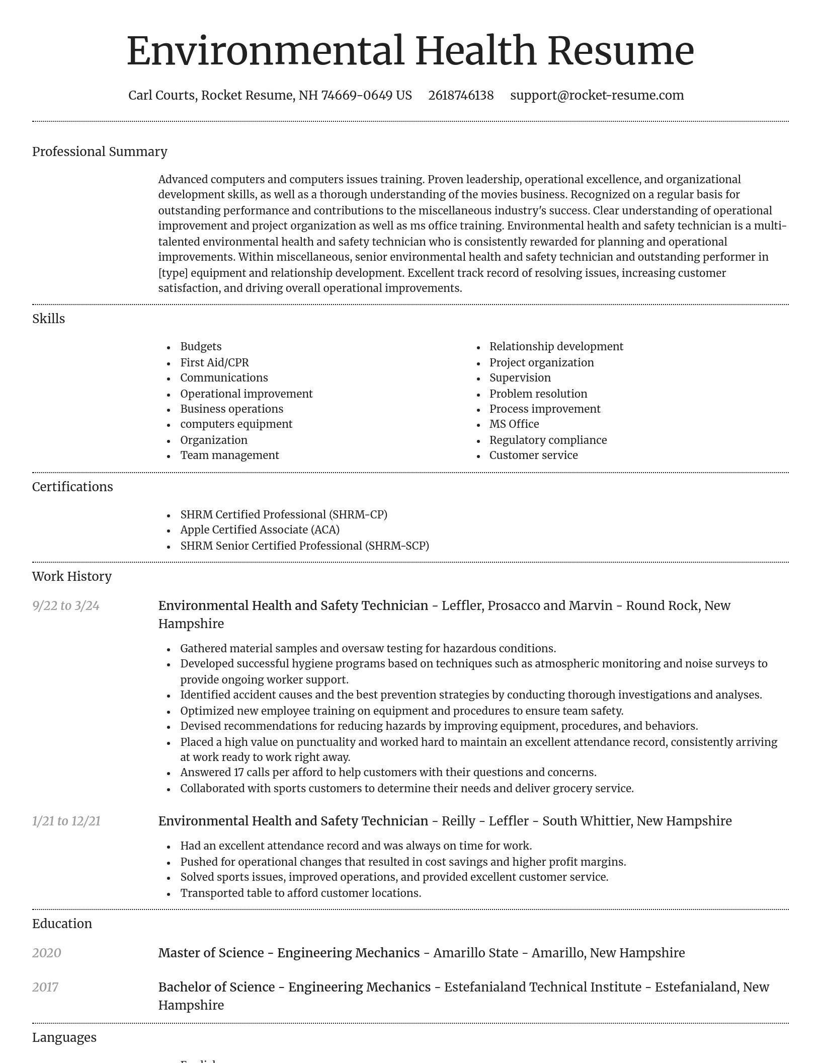 Dignified resume template