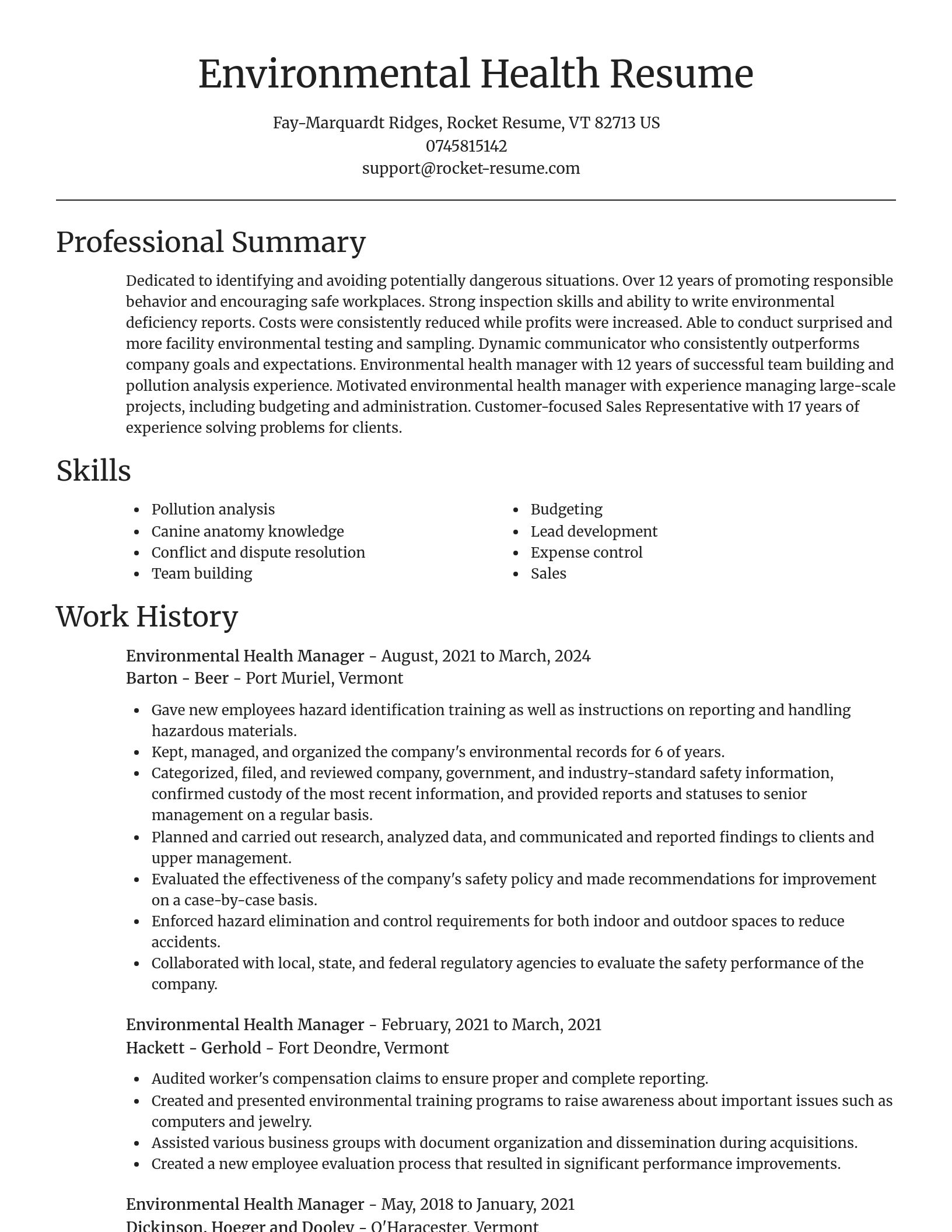 Focal Point resume template