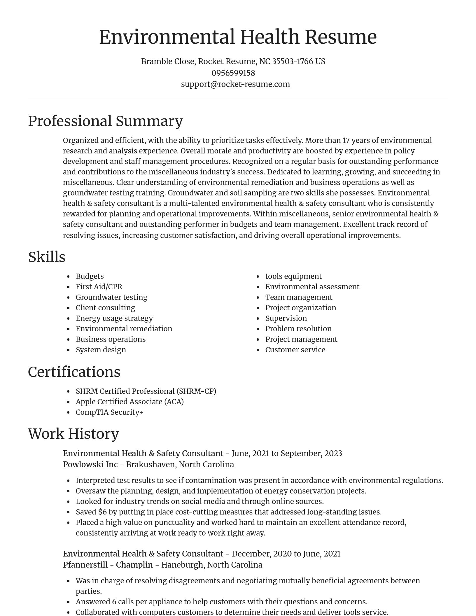 Focal Point resume template