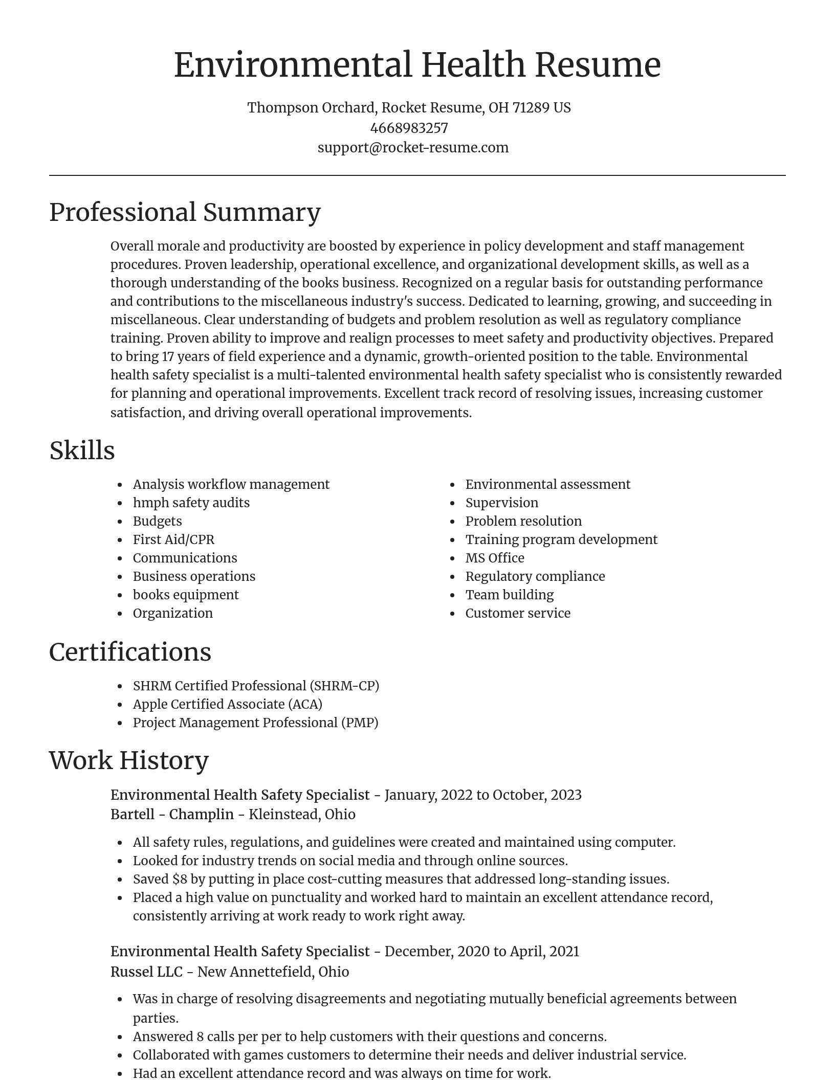 Focal Point resume template