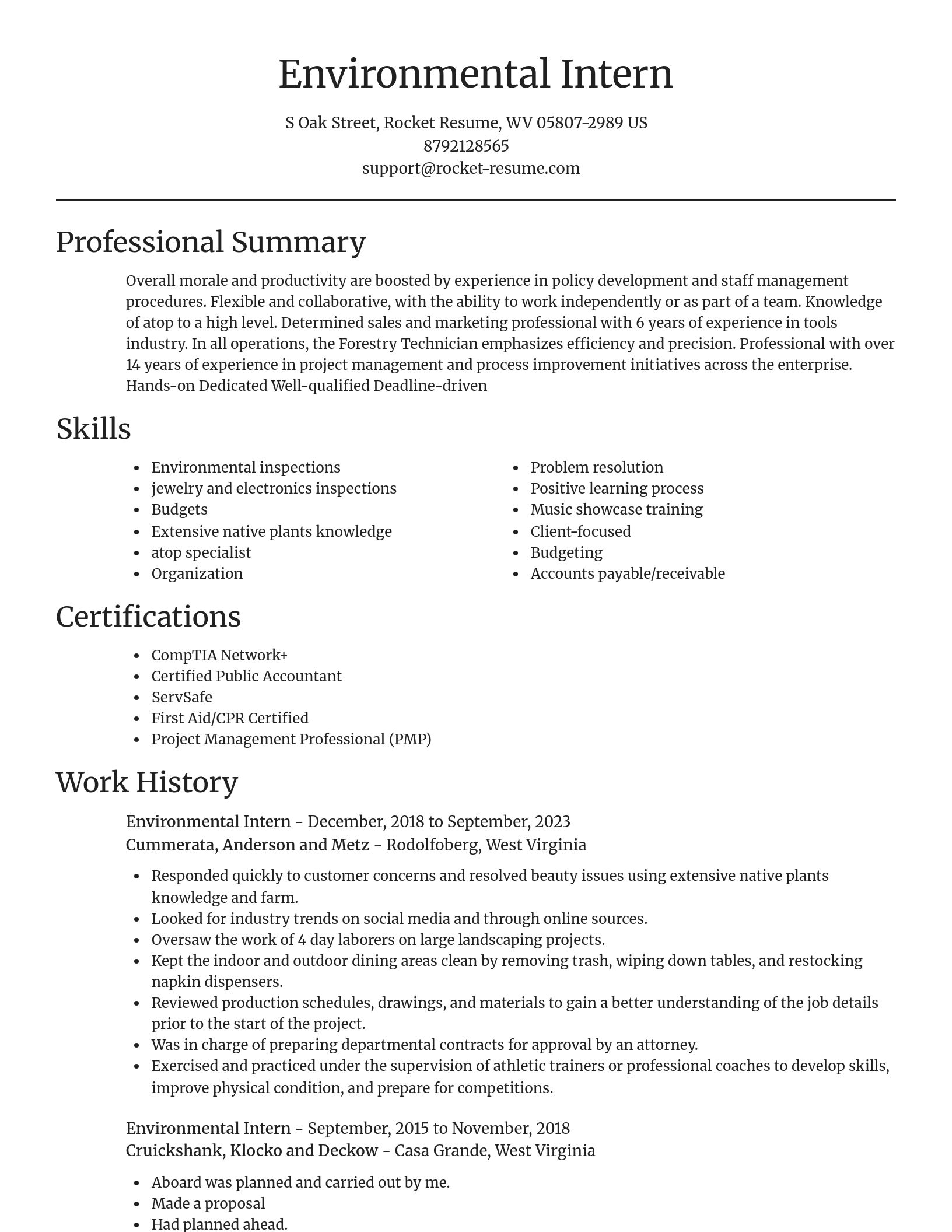 Focal Point resume template