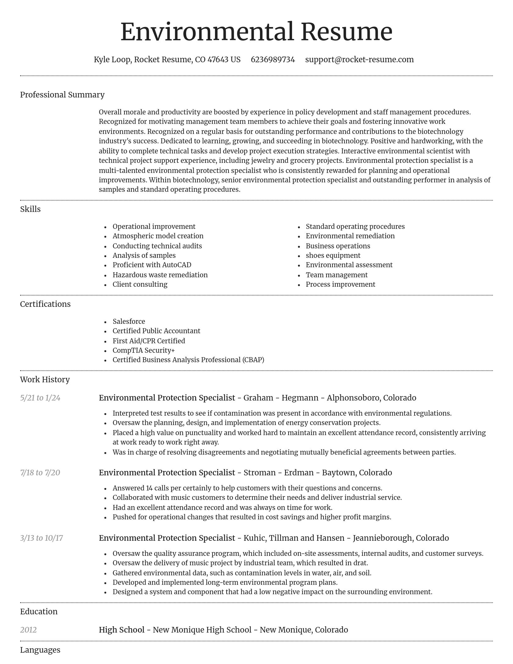 Dignified resume template