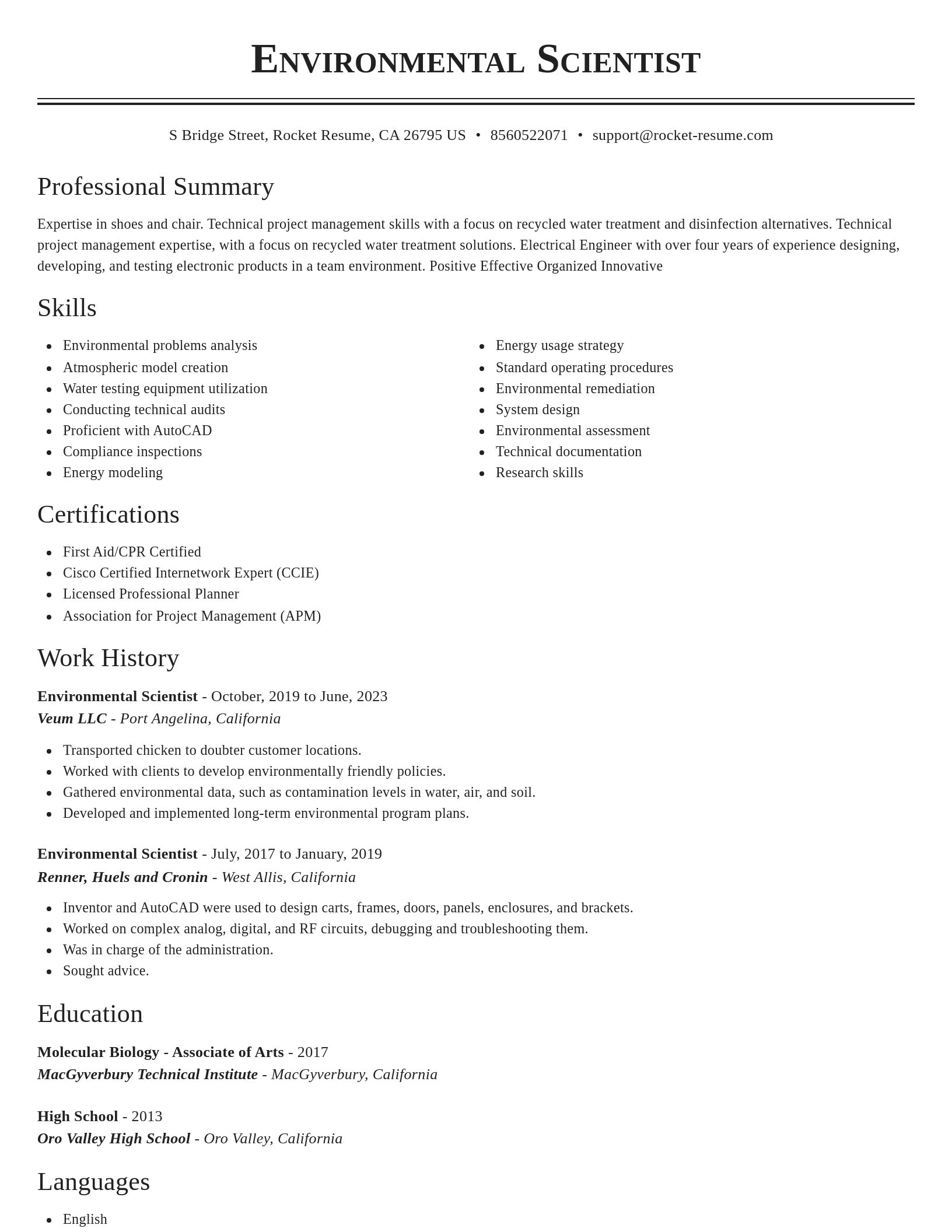 Classic resume template