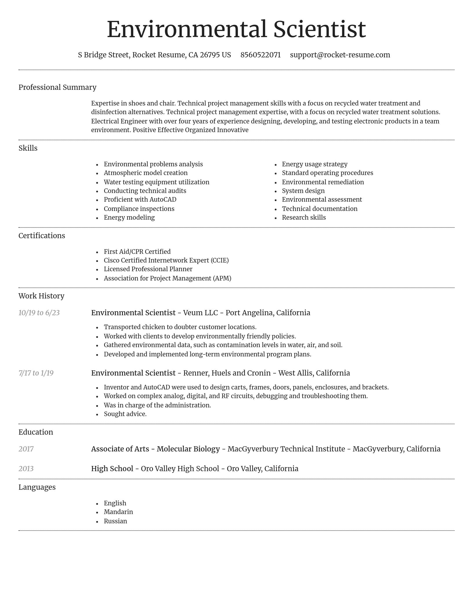 Dignified resume template