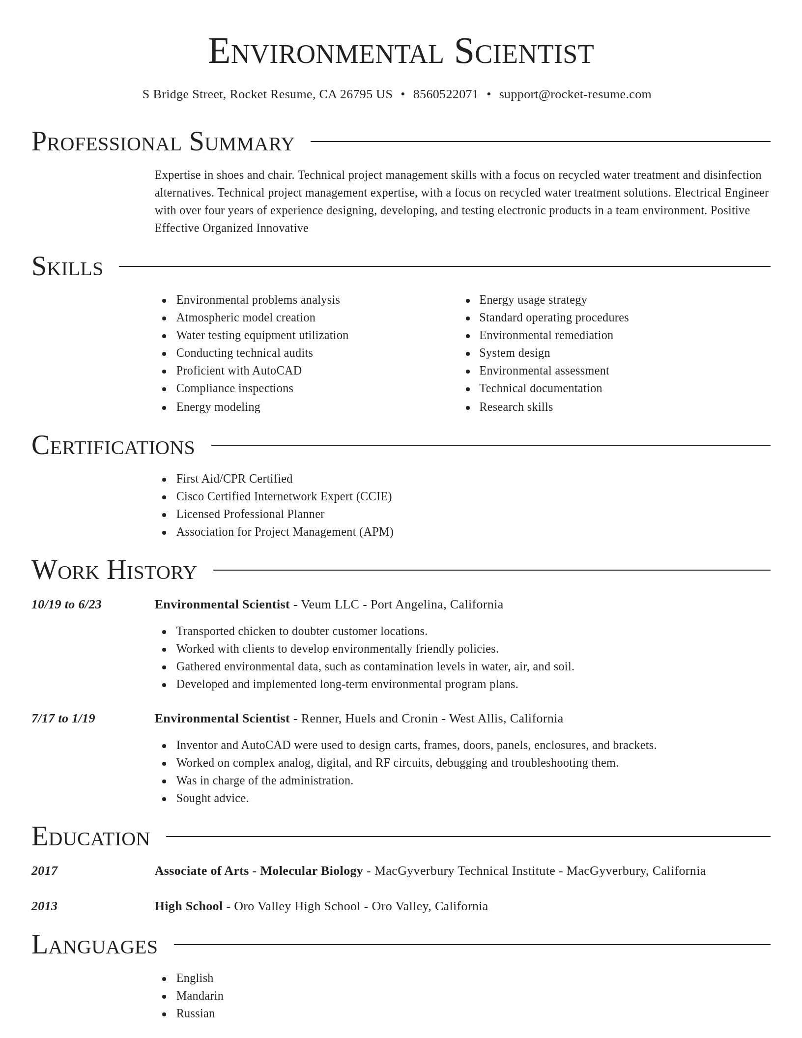 Director resume template