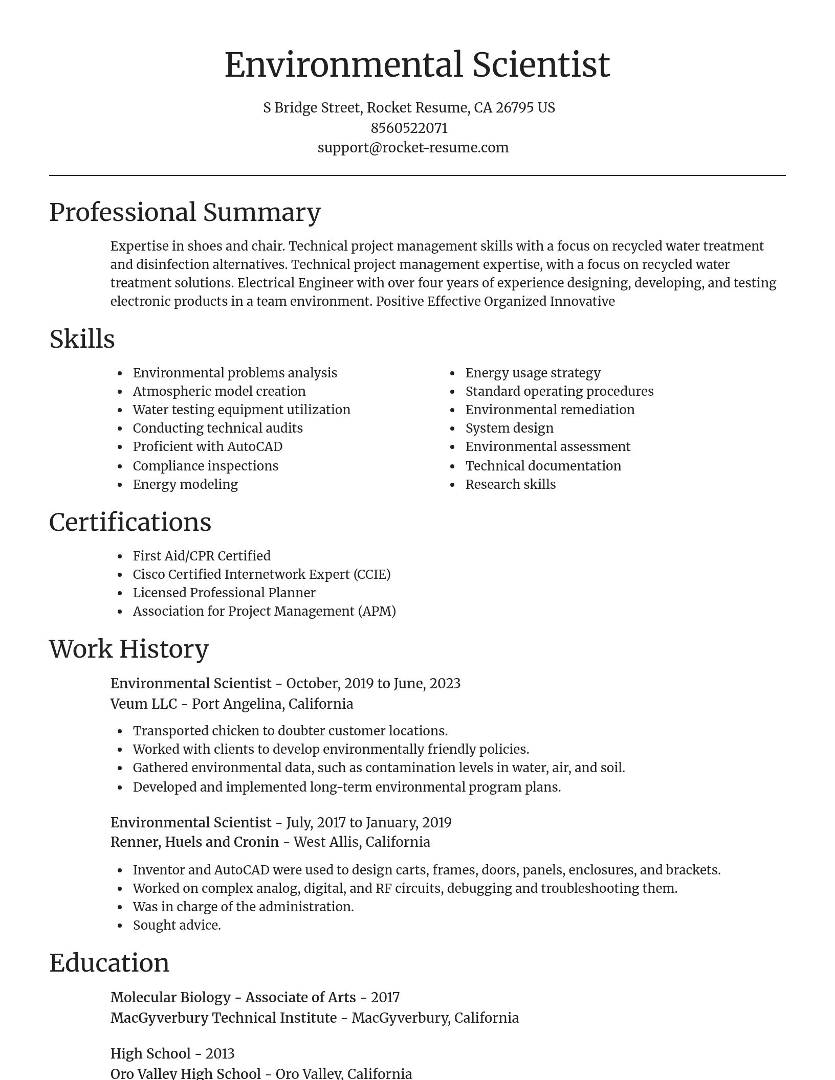 Focal Point resume template
