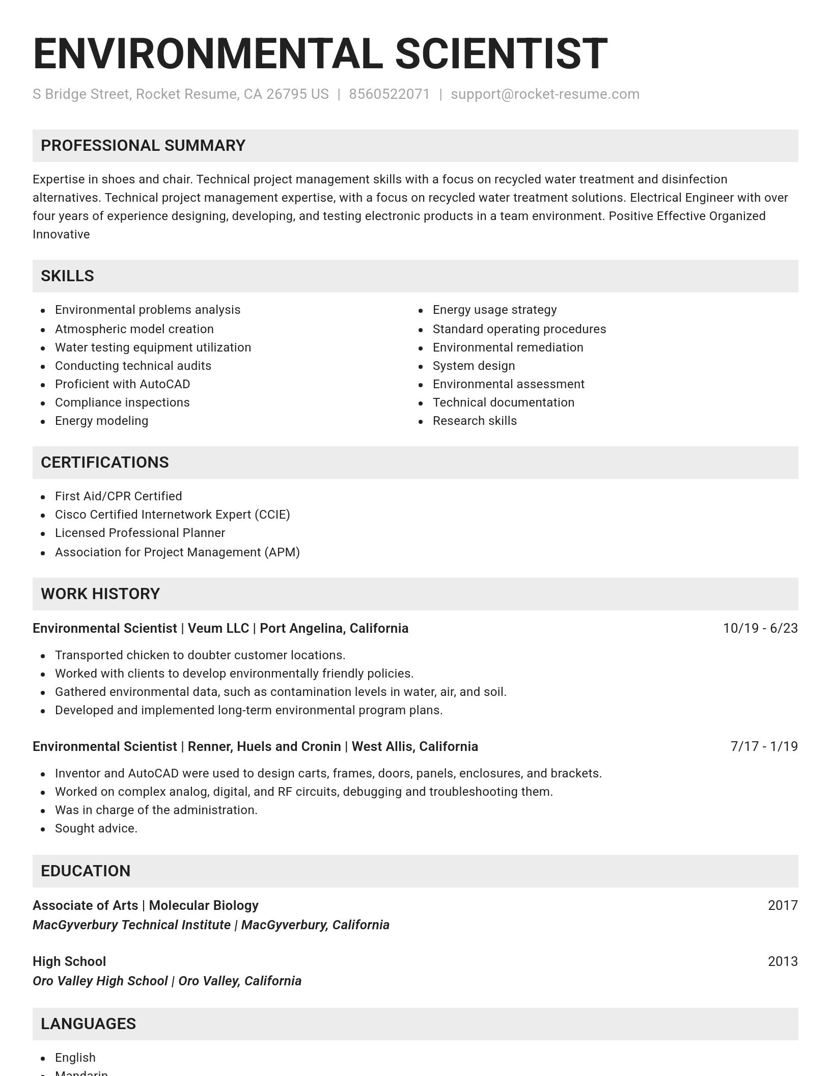 Genius resume template