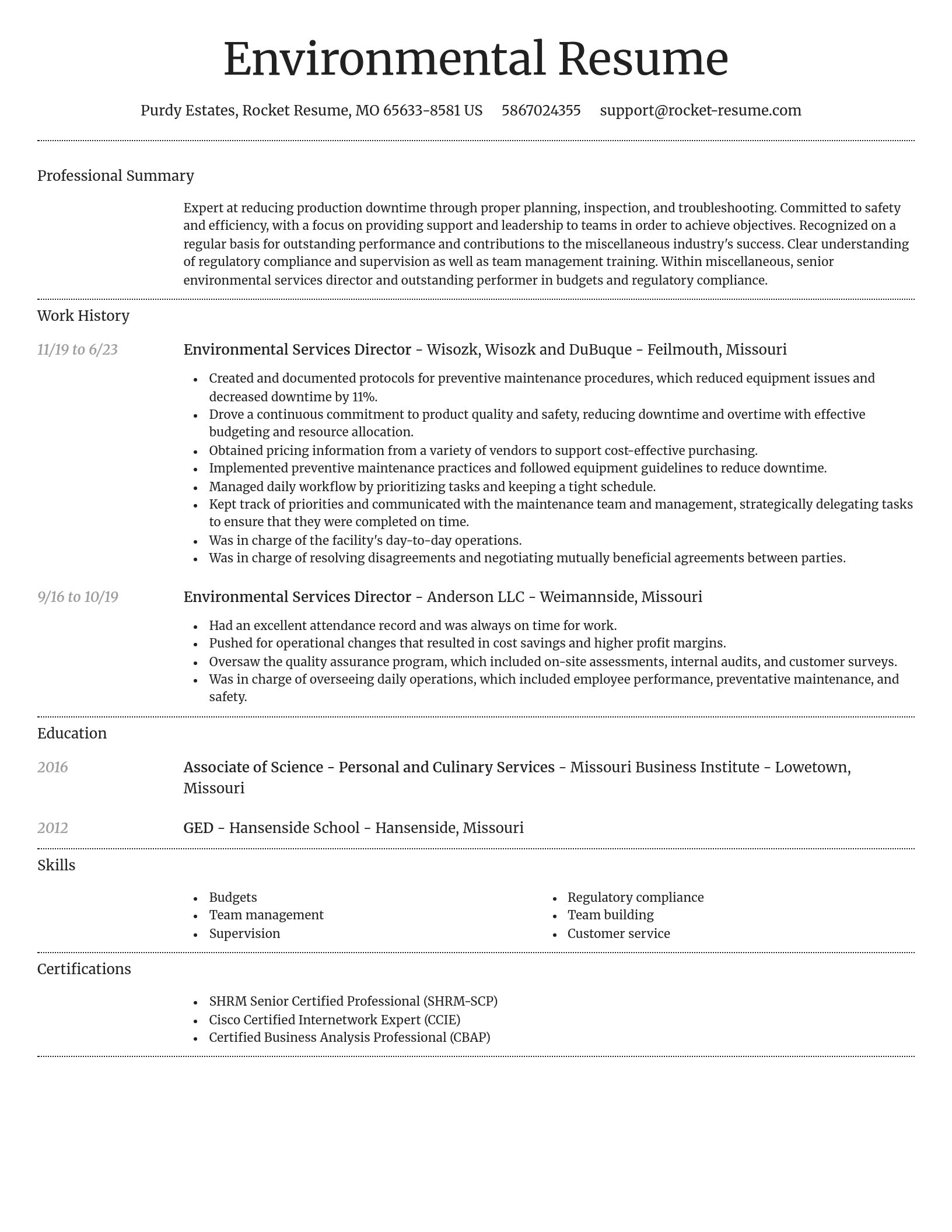Dignified resume template