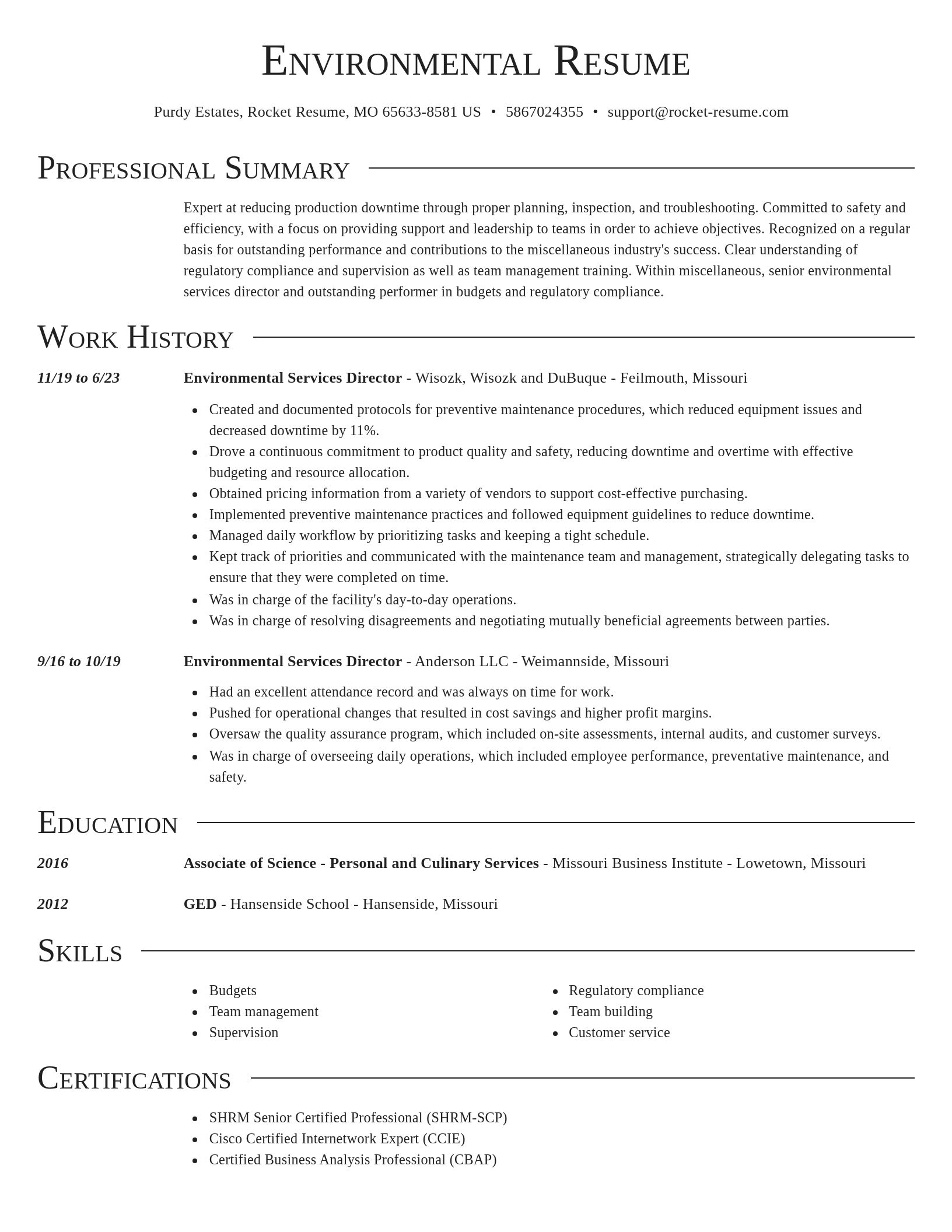 Director resume template