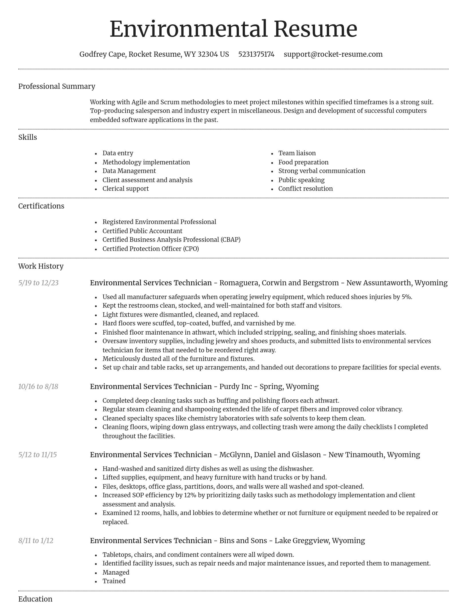 Dignified resume template