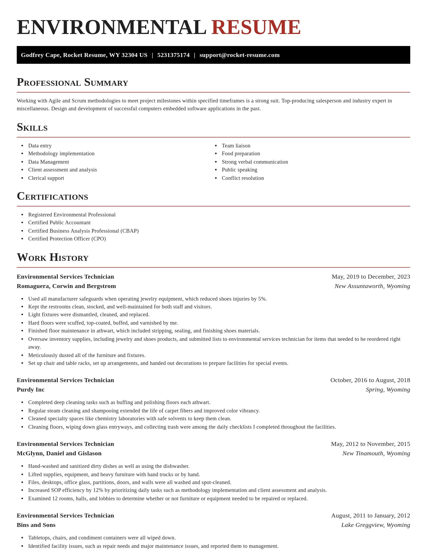 Exquisite resume template