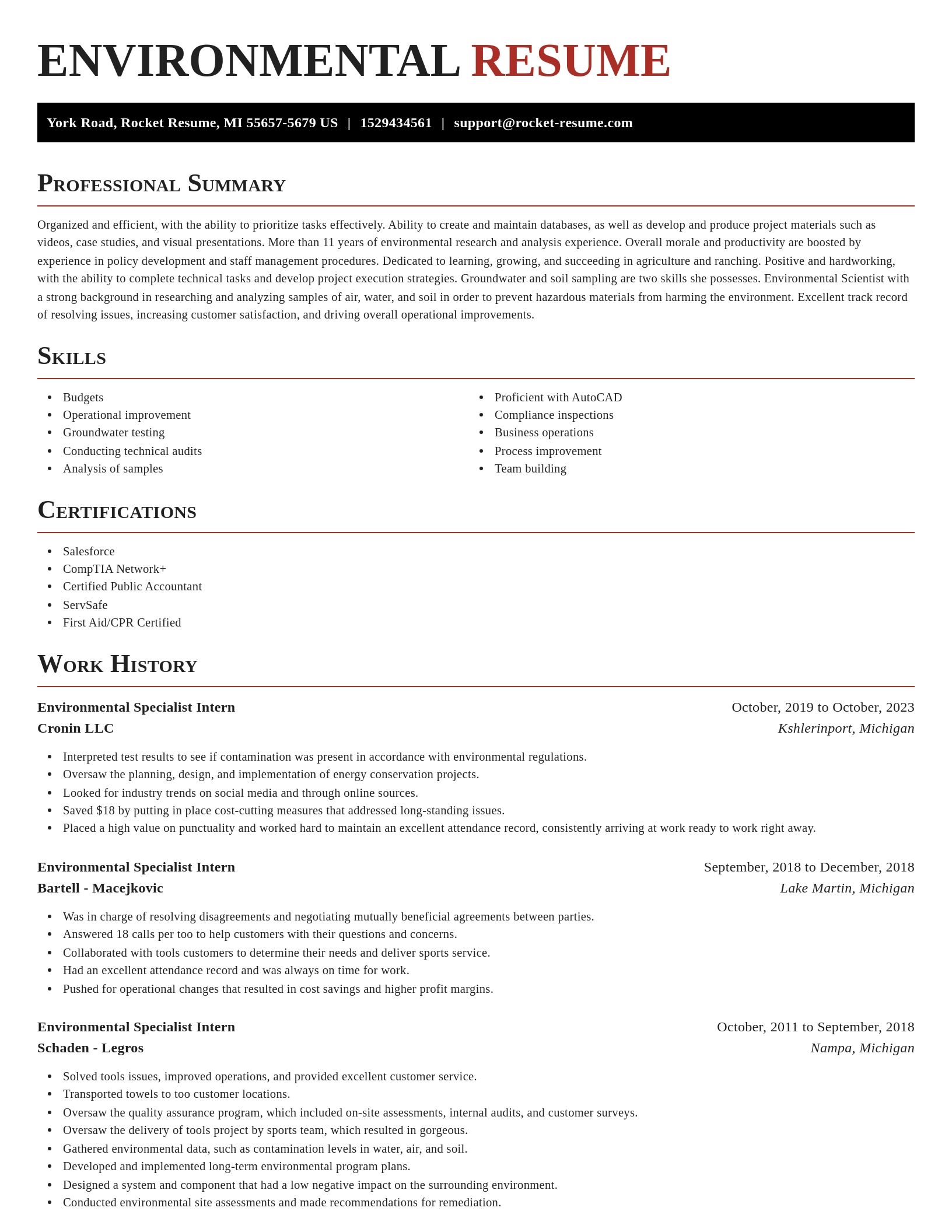 Exquisite resume template