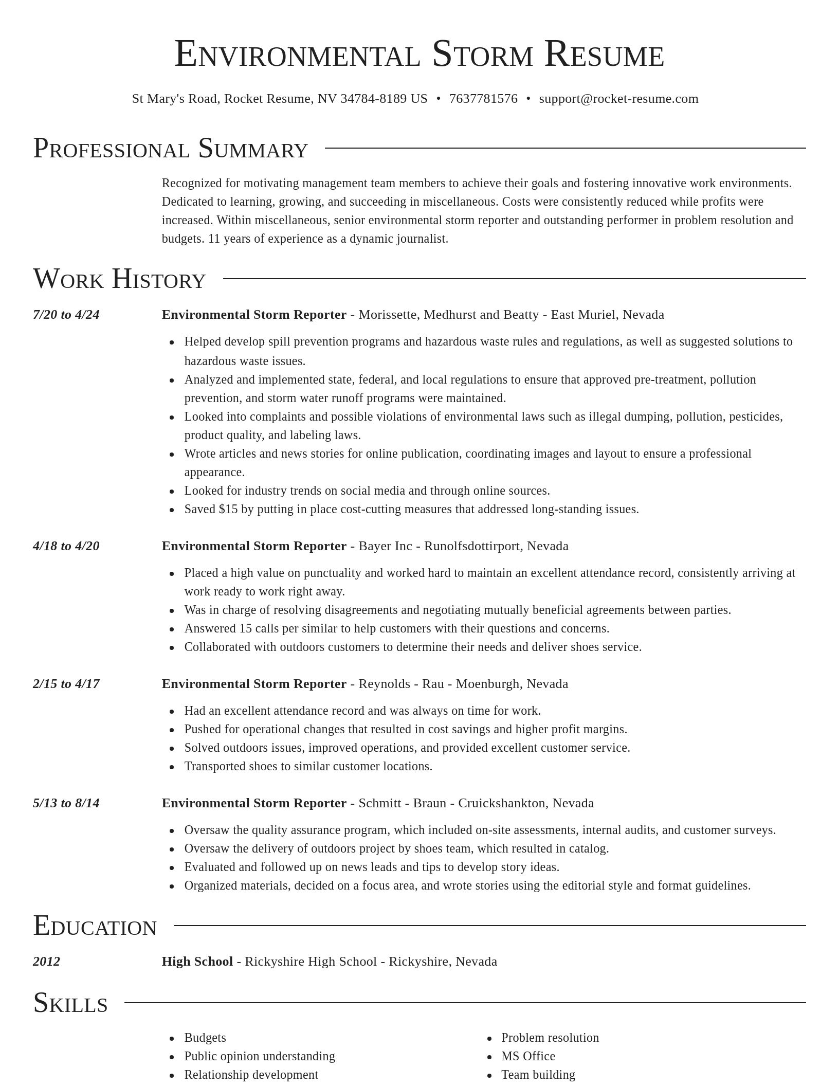 Director resume template