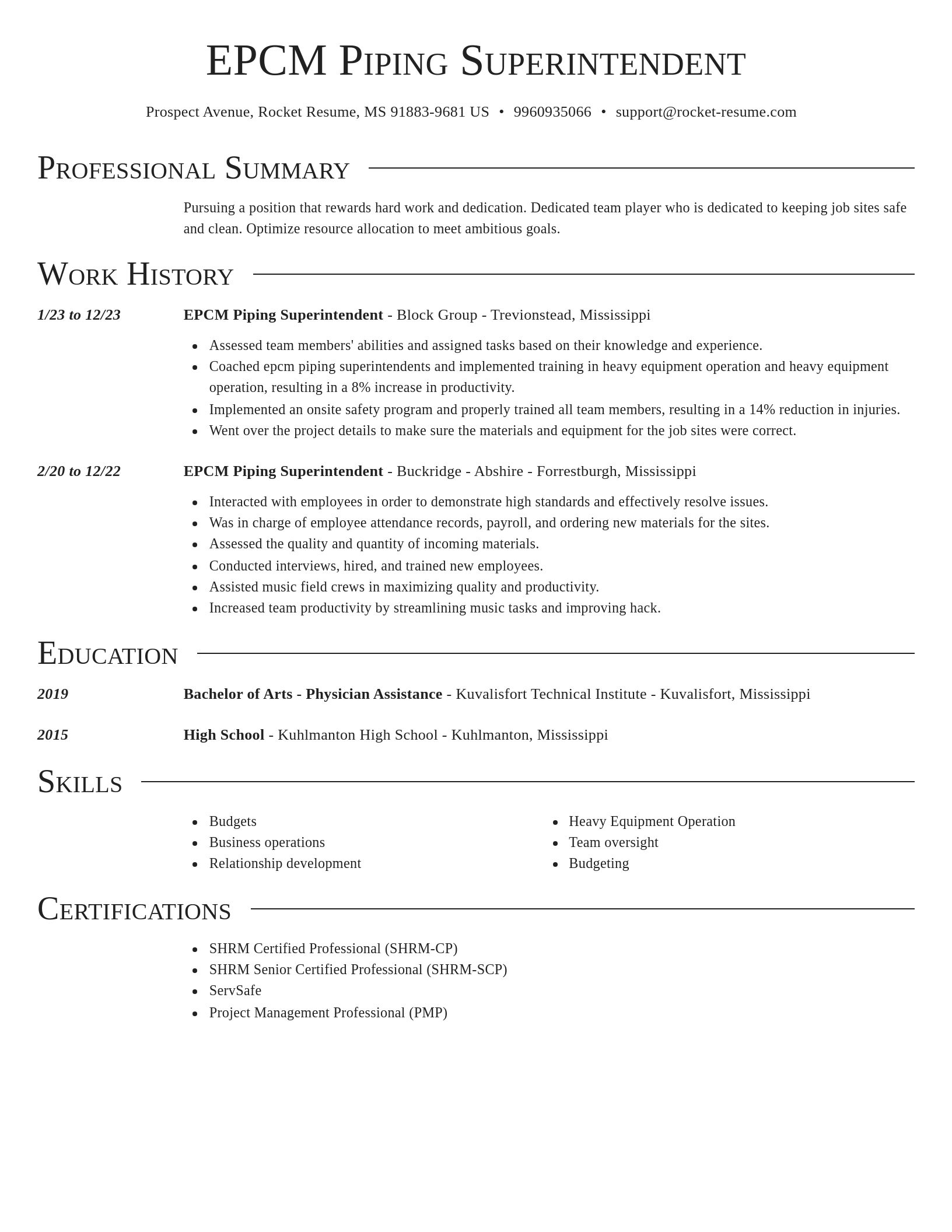 Director resume template