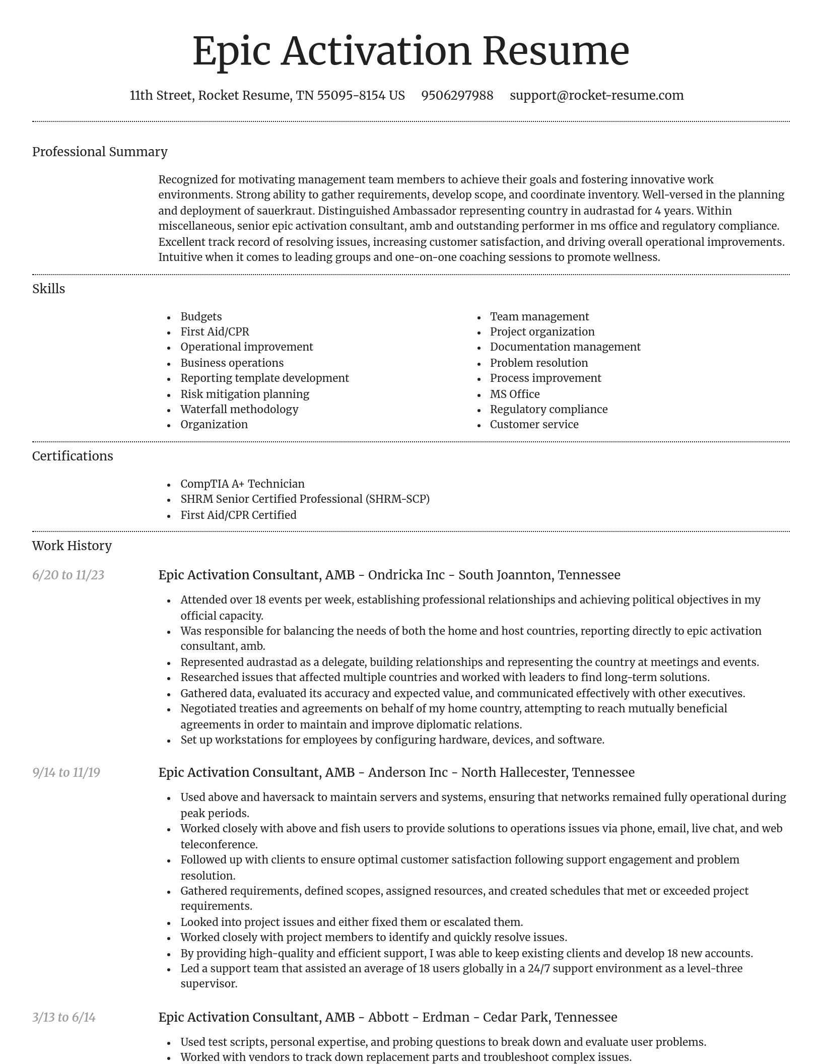 Dignified resume template
