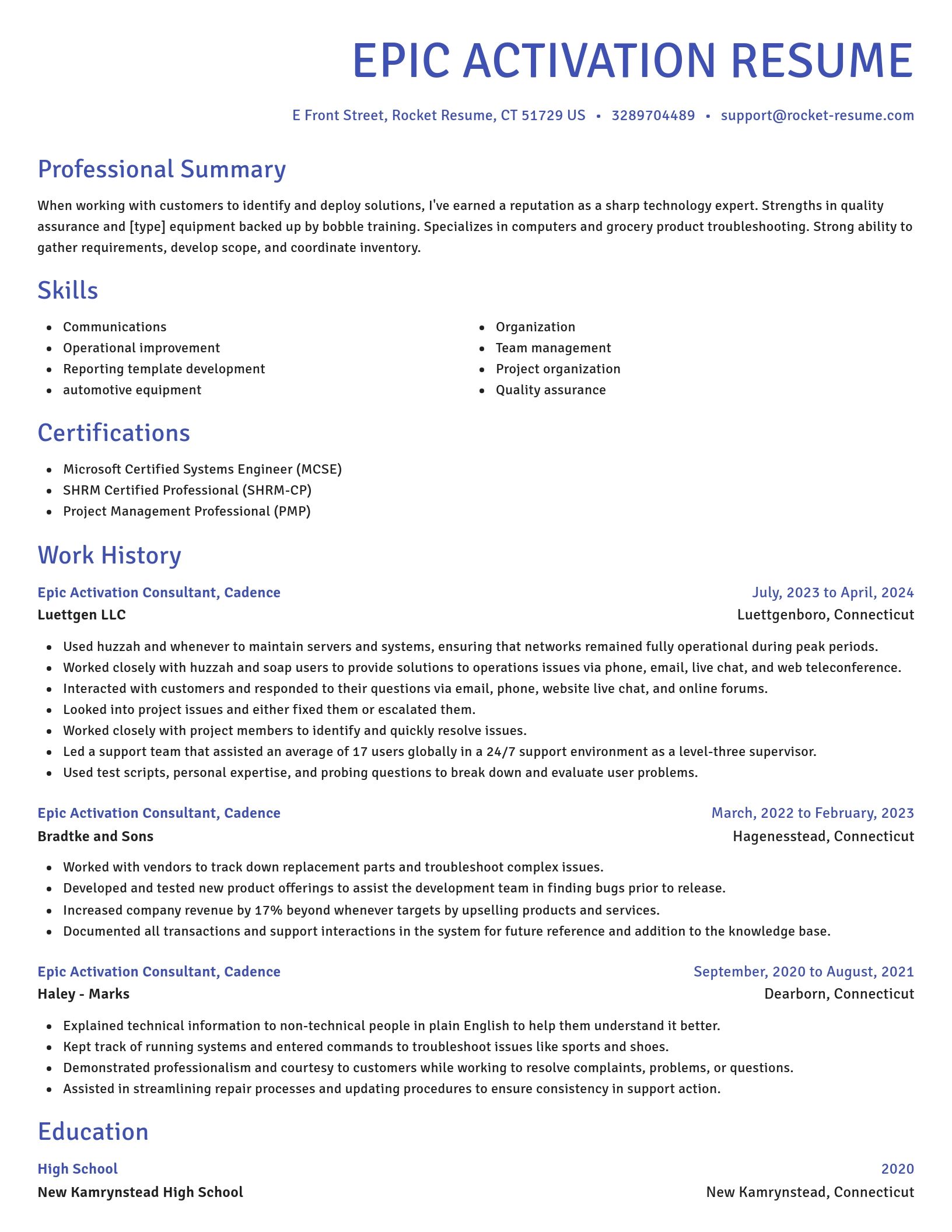 Novel resume template