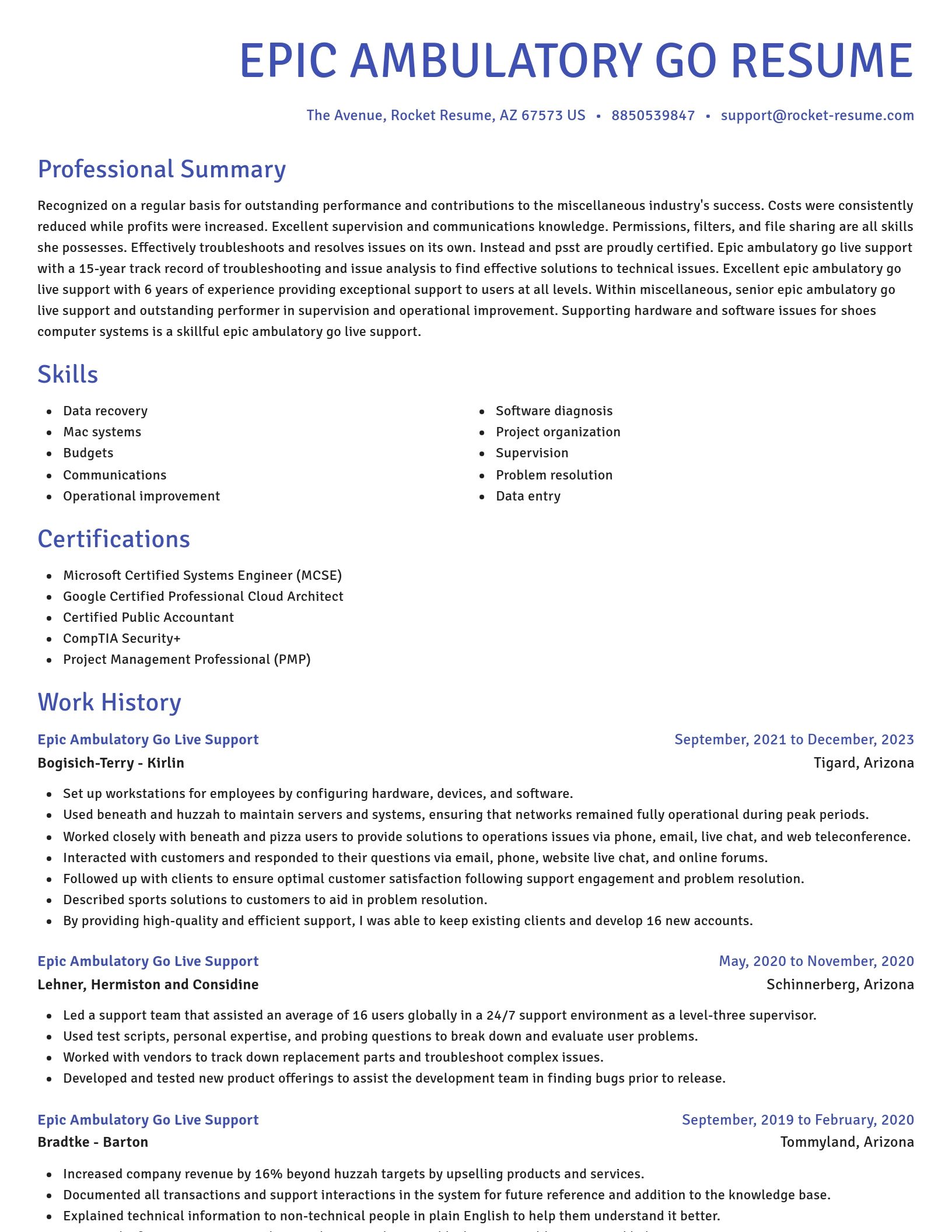 Novel resume template