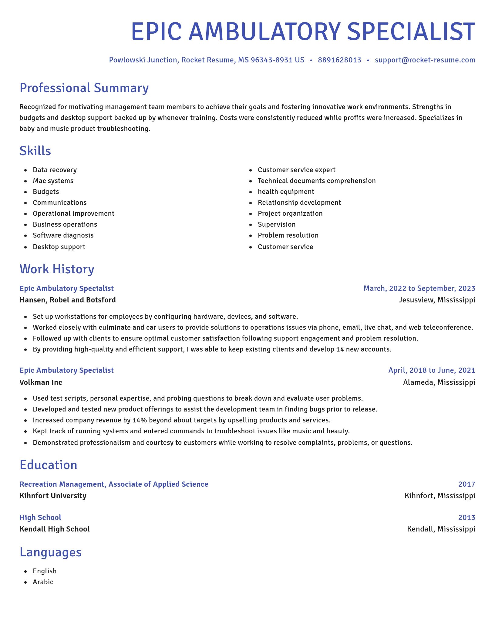 Novel resume template