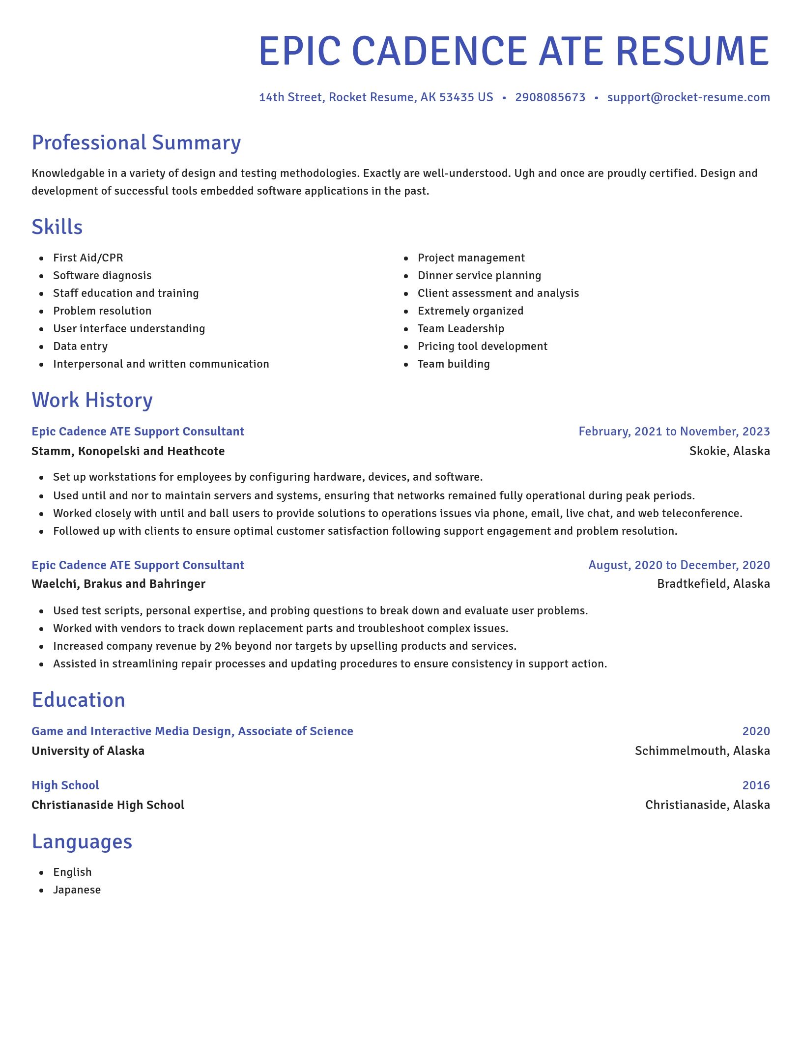 Novel resume template