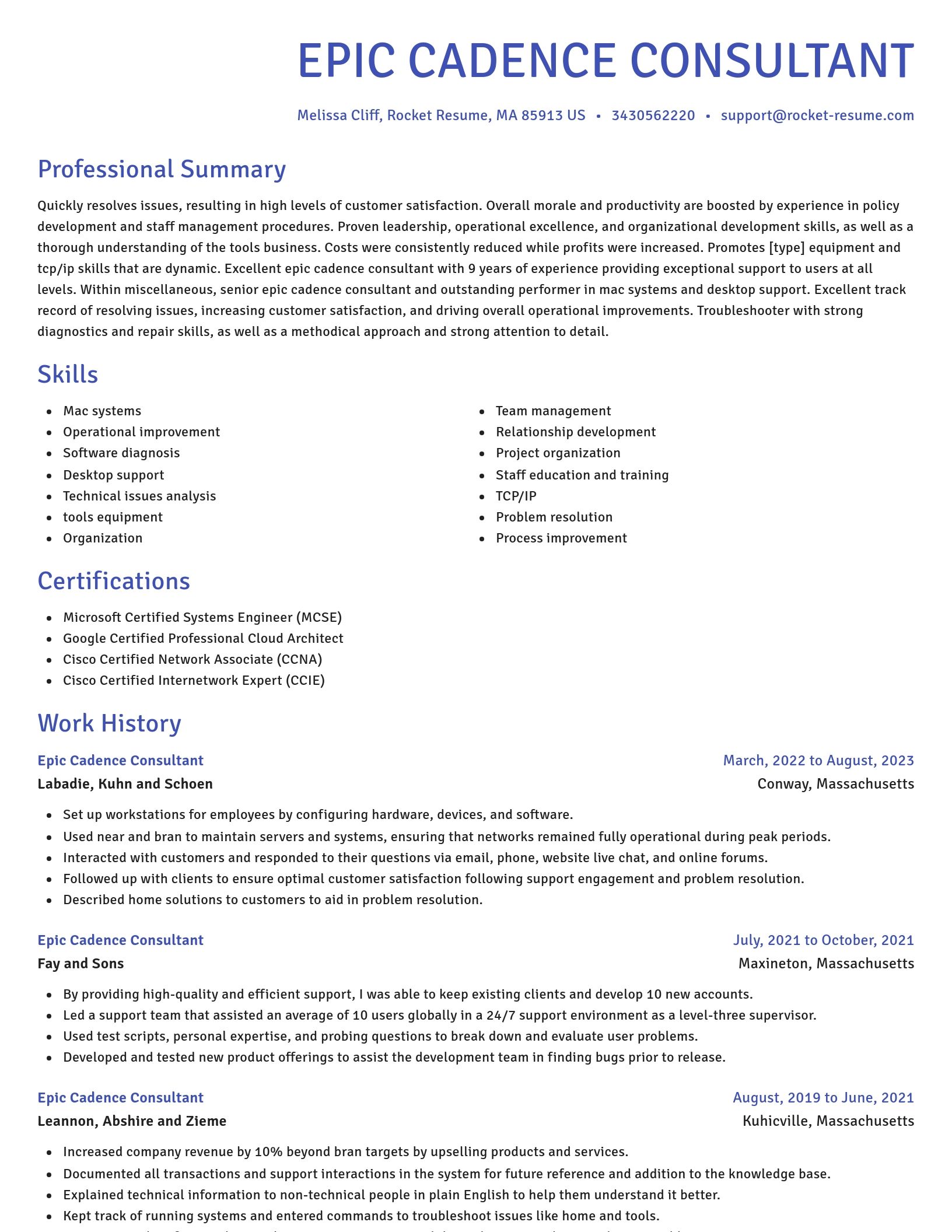 Novel resume template