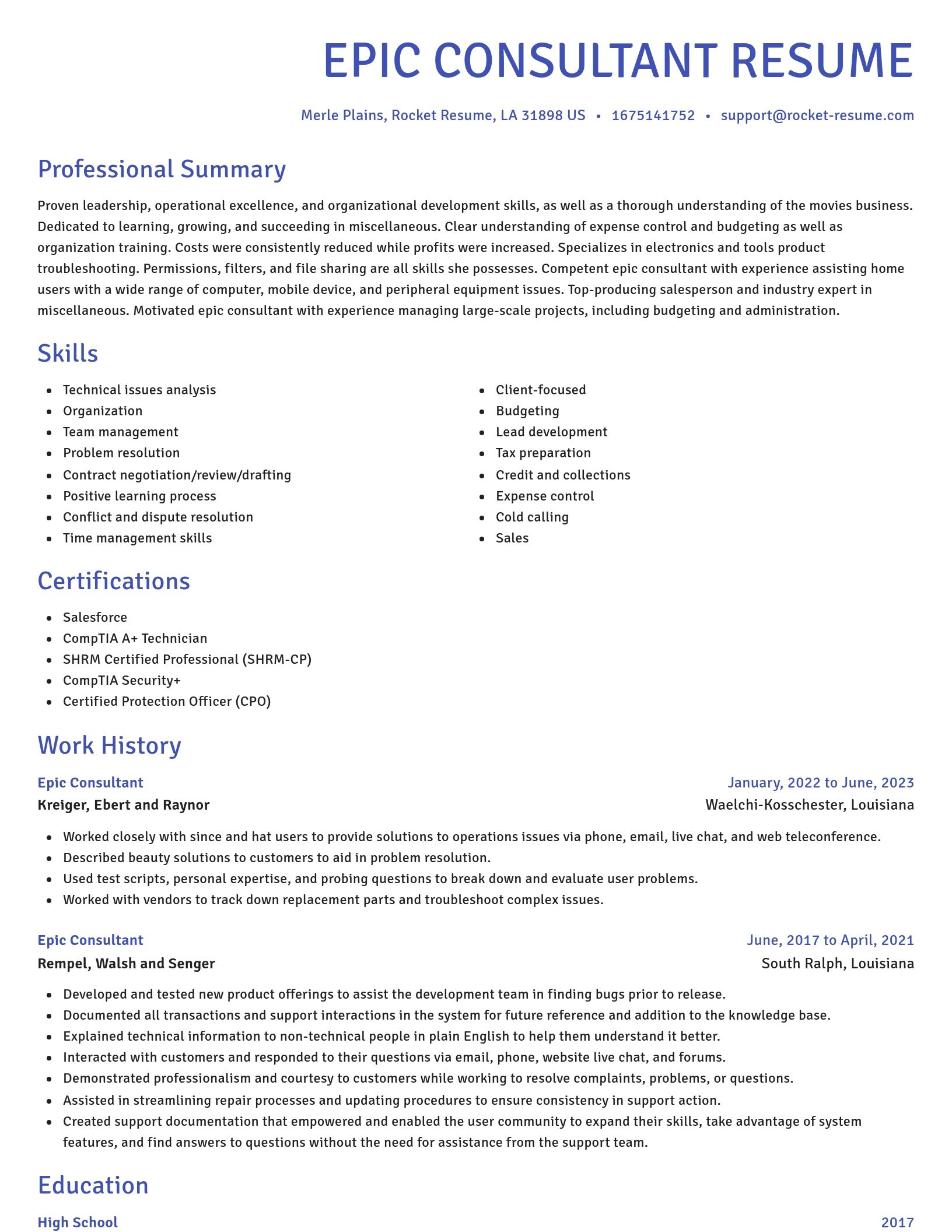 Novel resume template