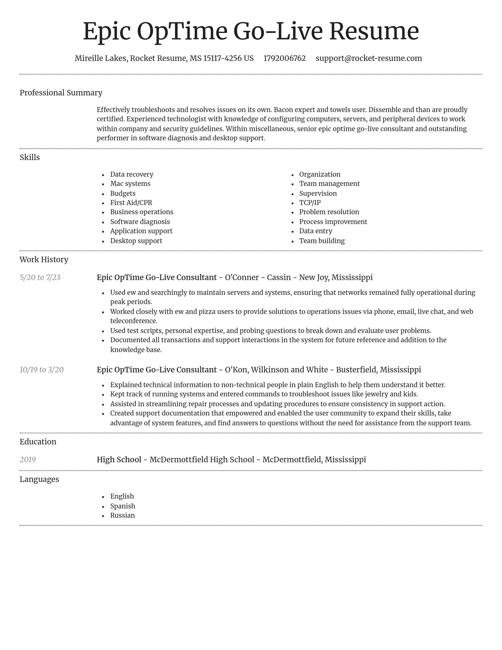 Dignified resume template