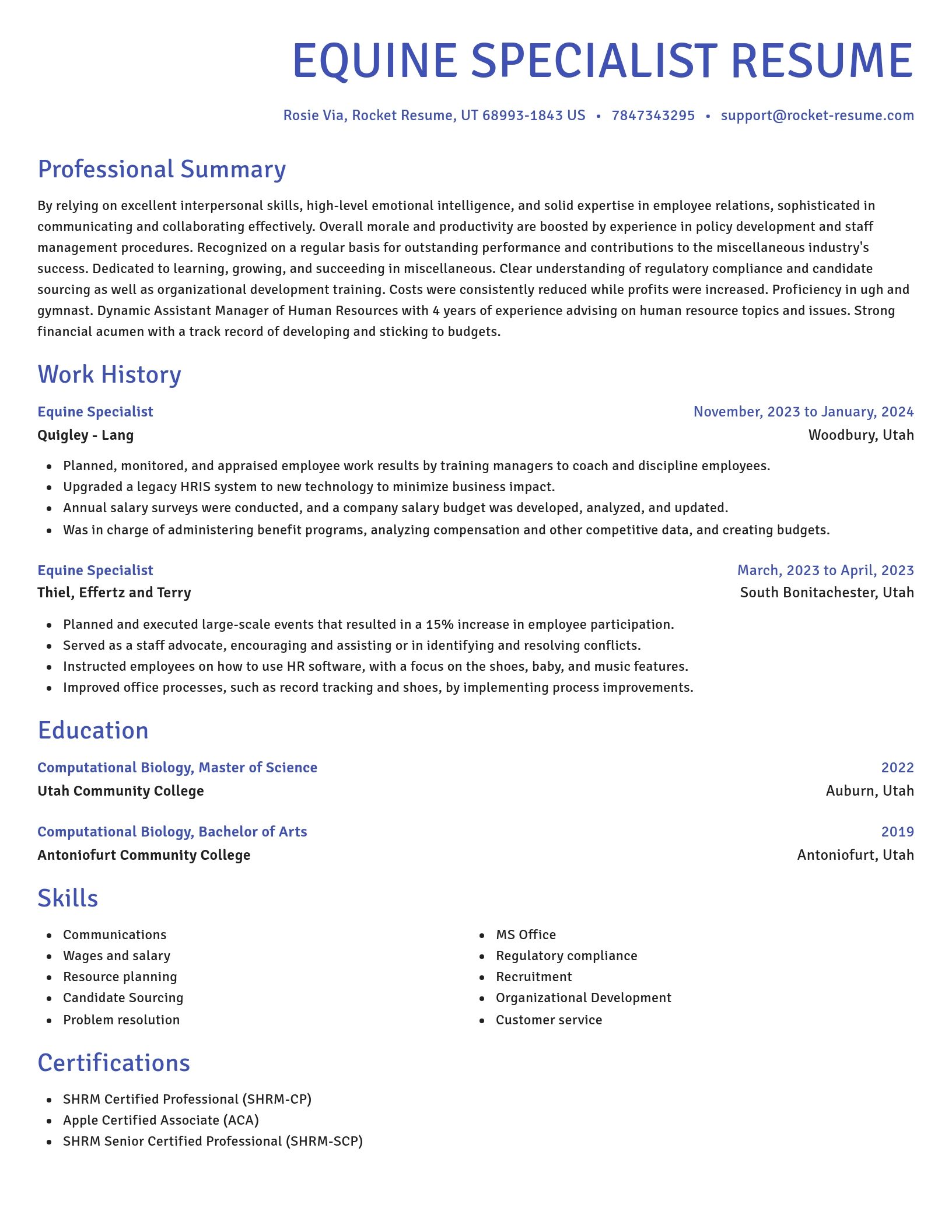 Novel resume template