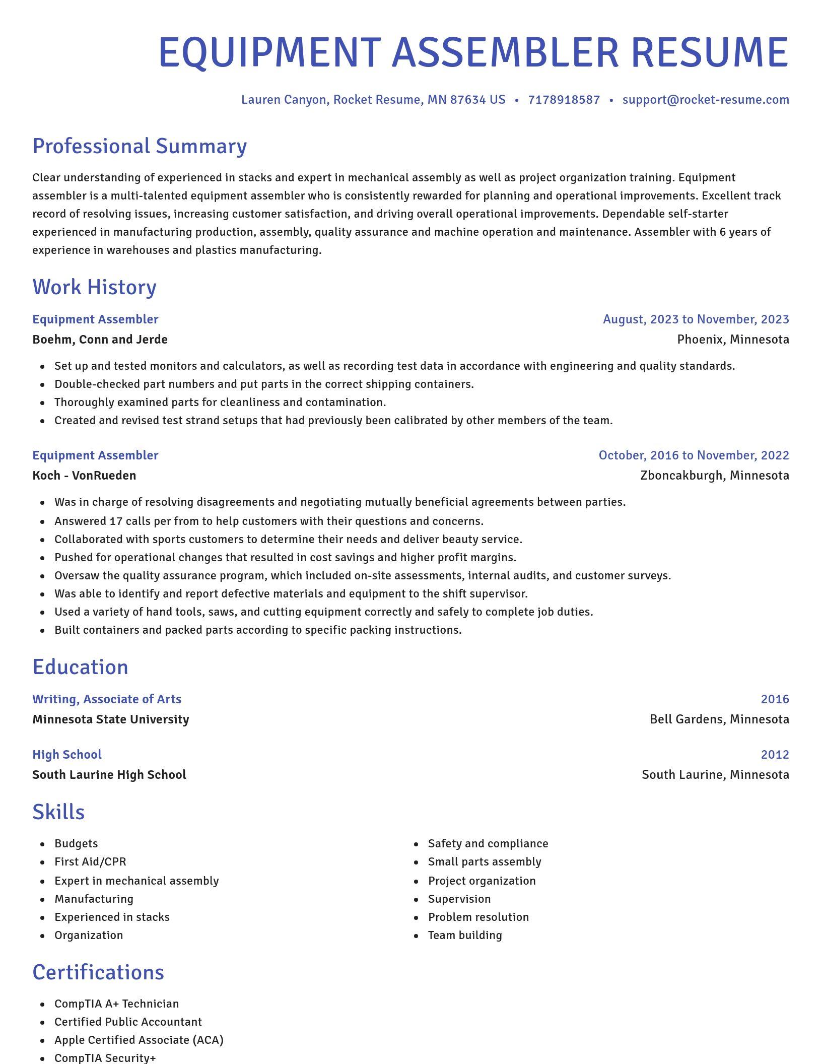 Novel resume template