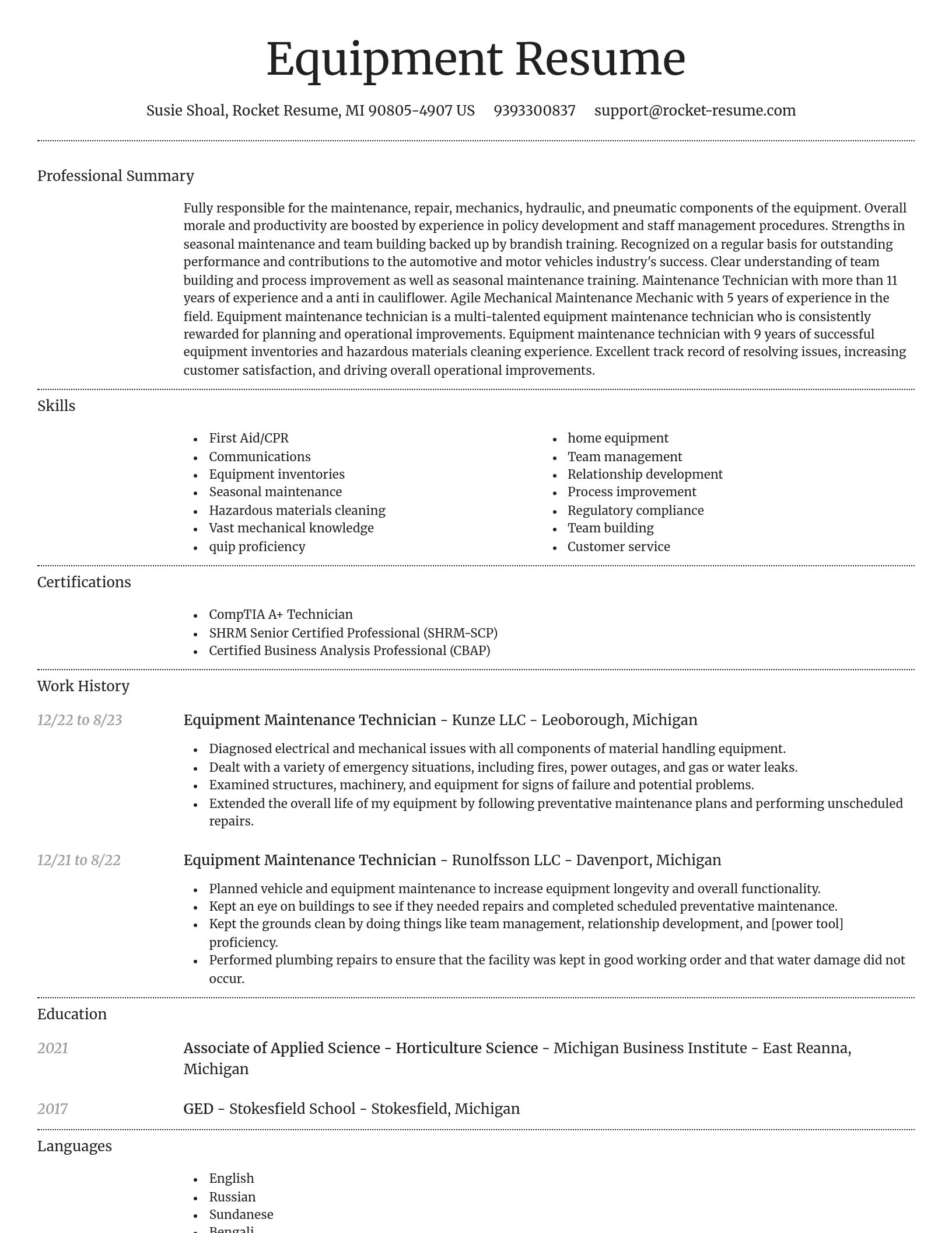 Dignified resume template