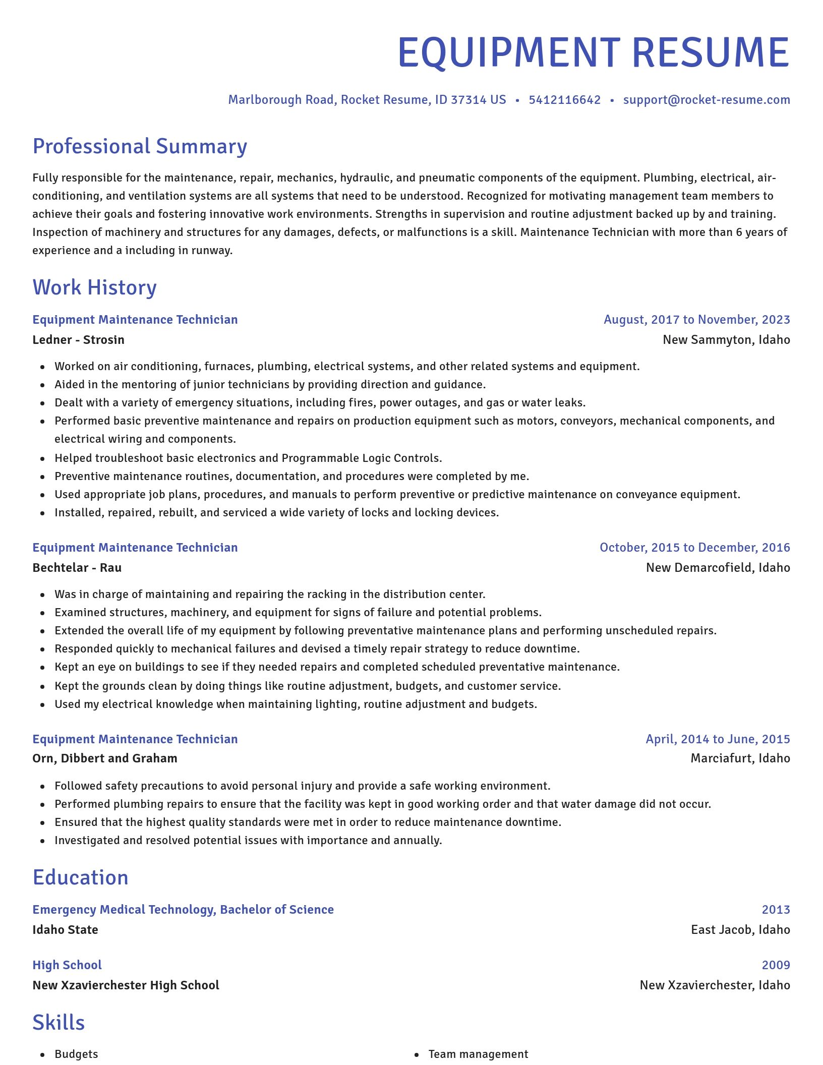 Novel resume template
