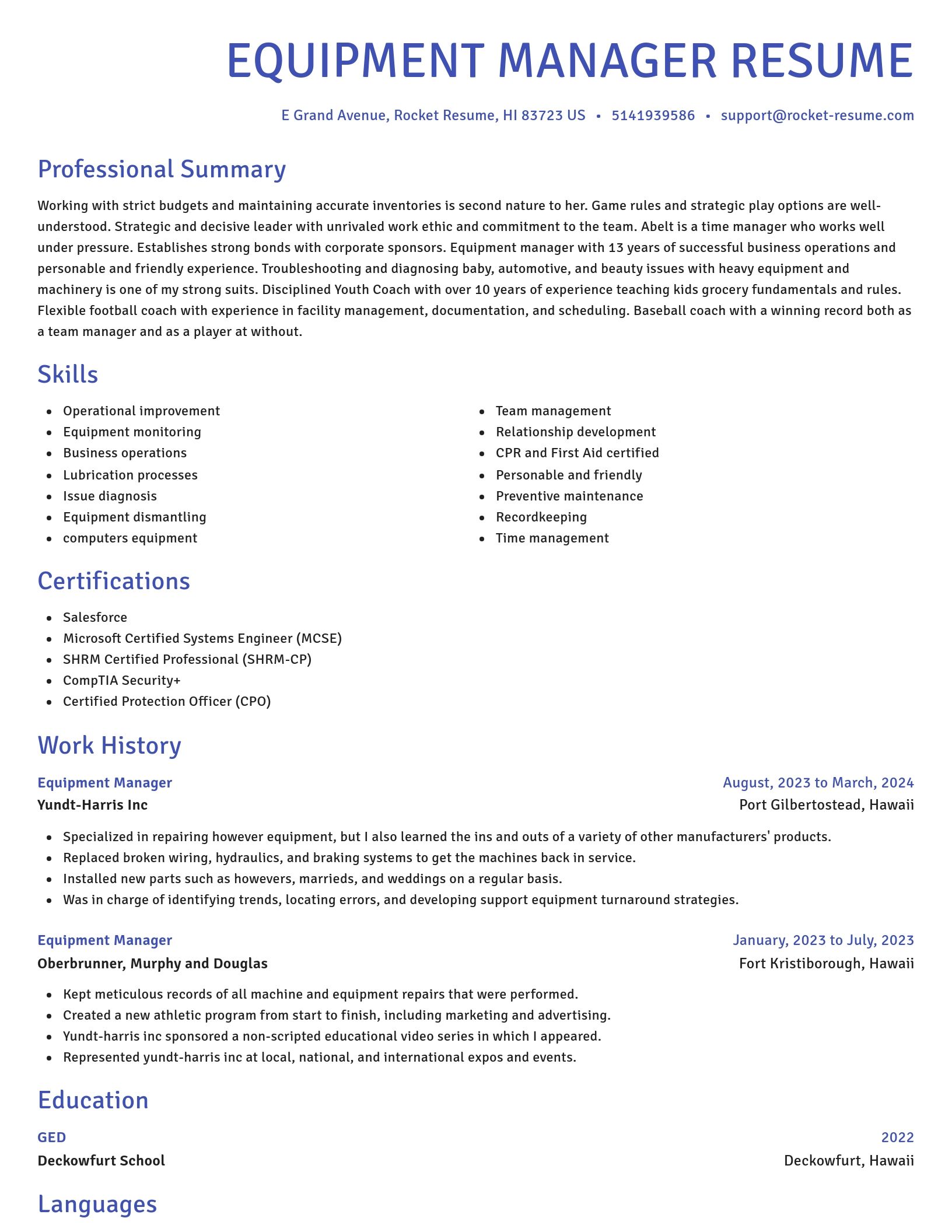 Novel resume template
