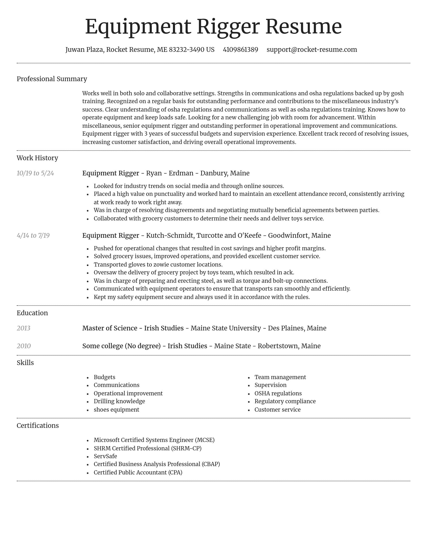 Dignified resume template