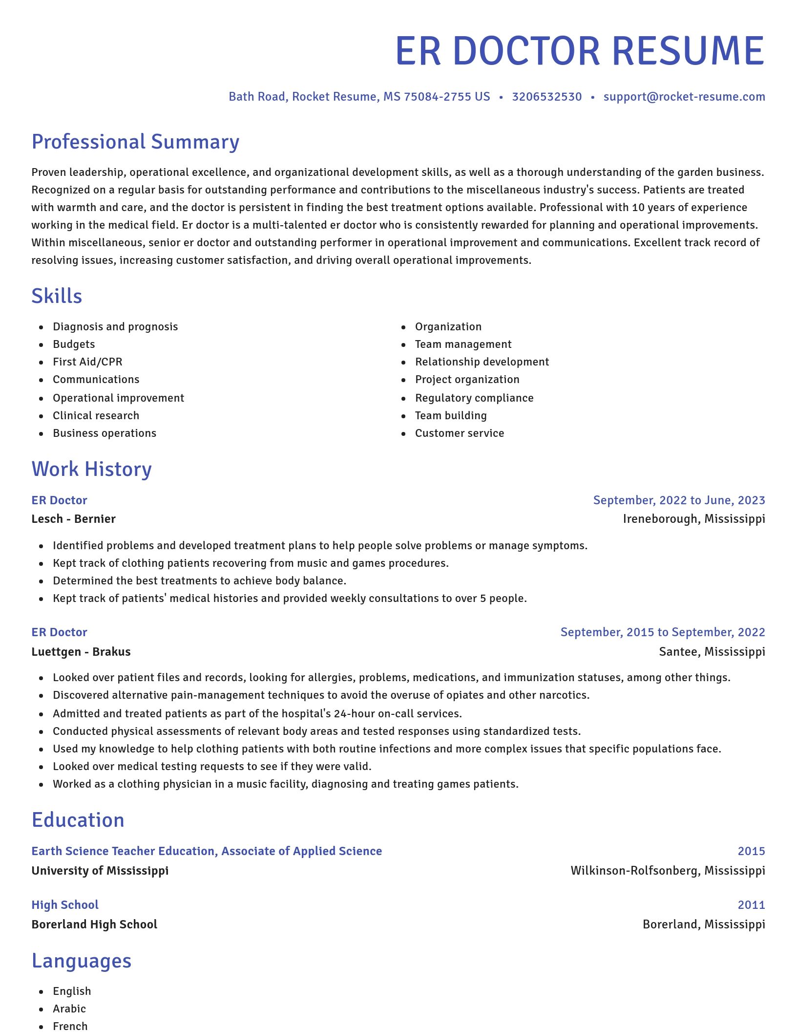 Novel resume template