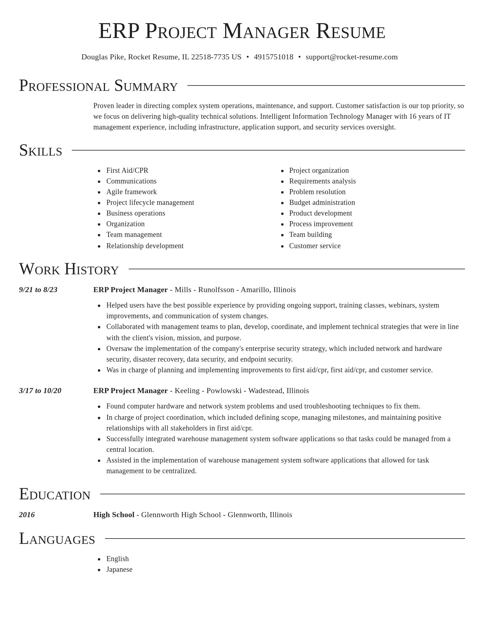 Director resume template