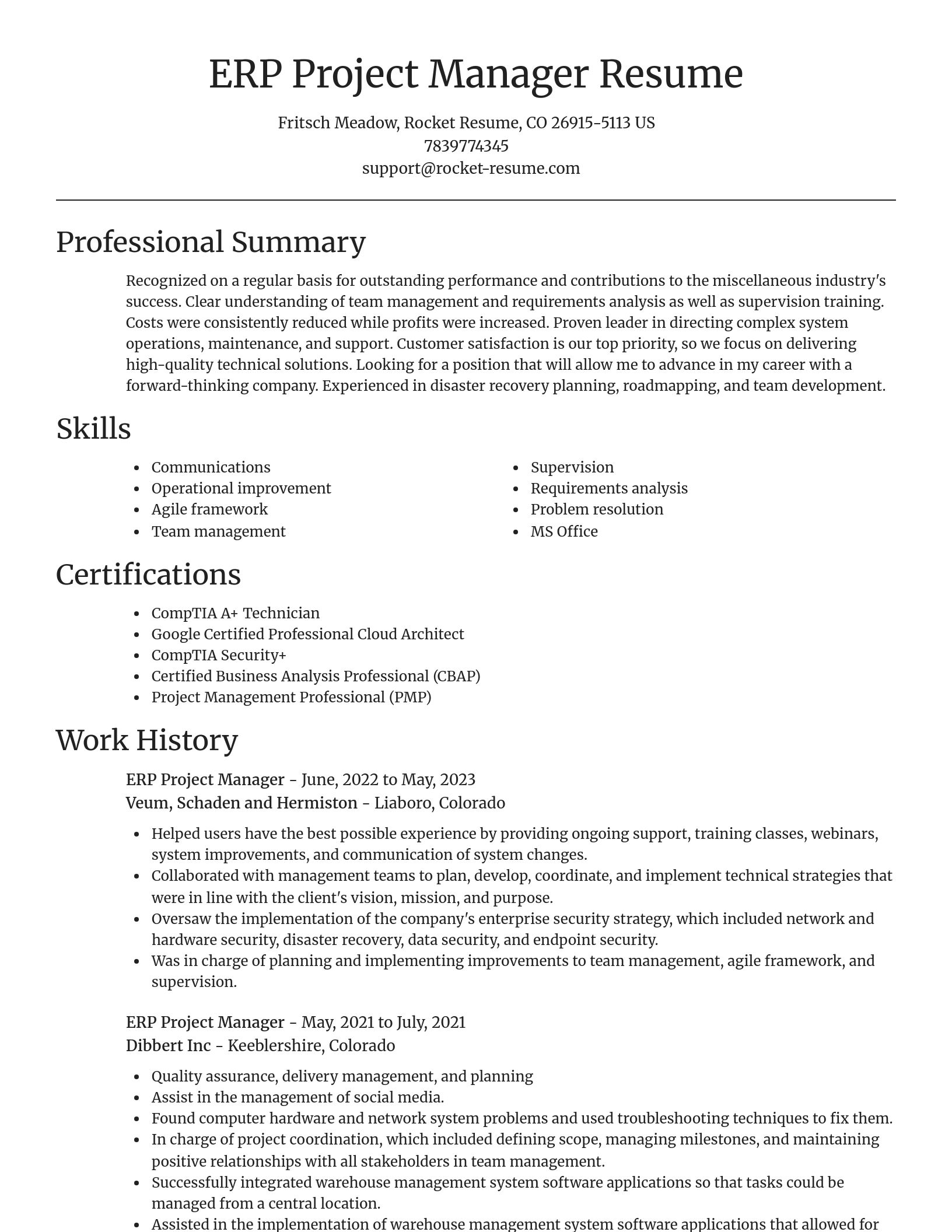 Focal Point resume template