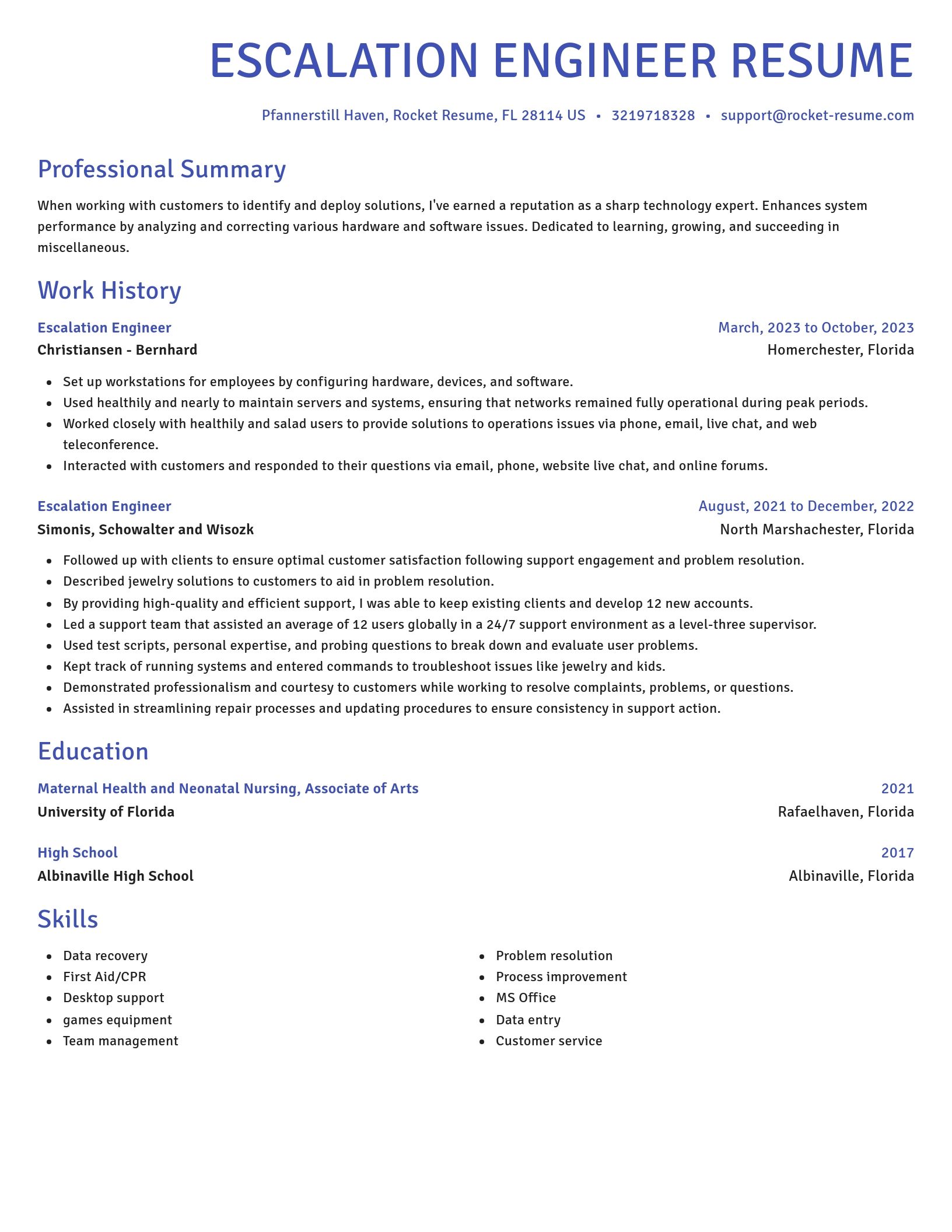 Novel resume template