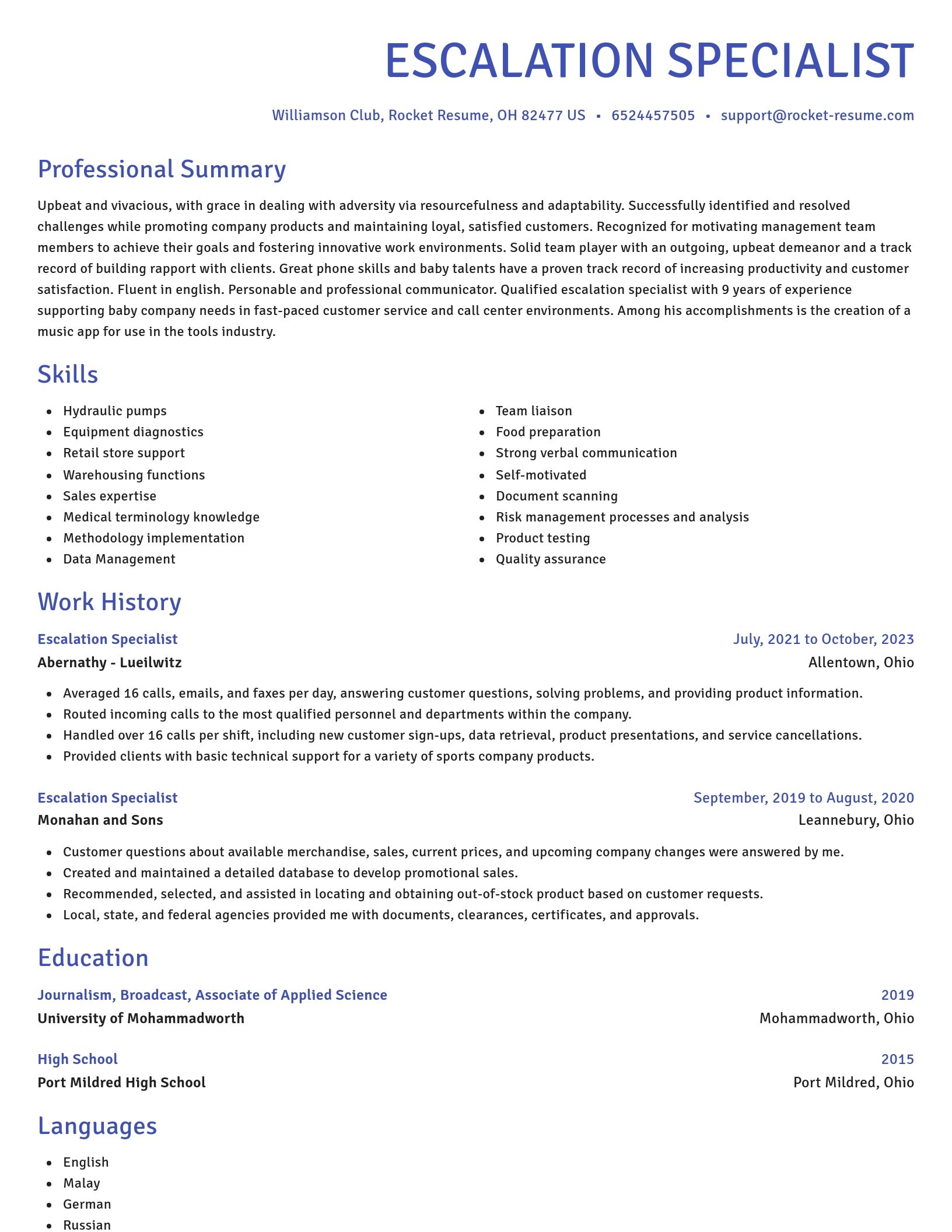 Novel resume template