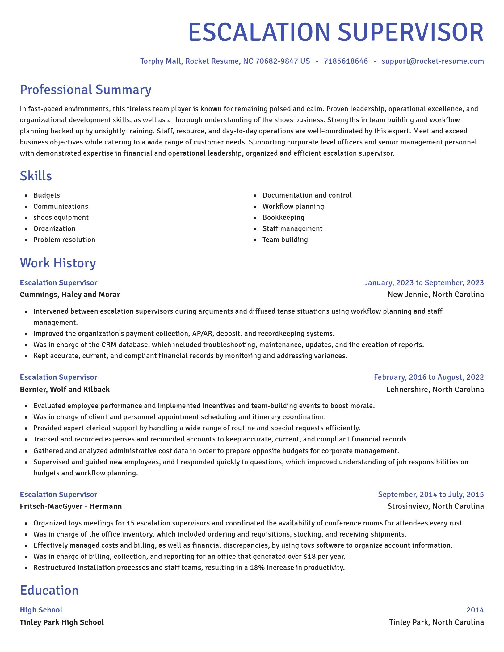 Novel resume template