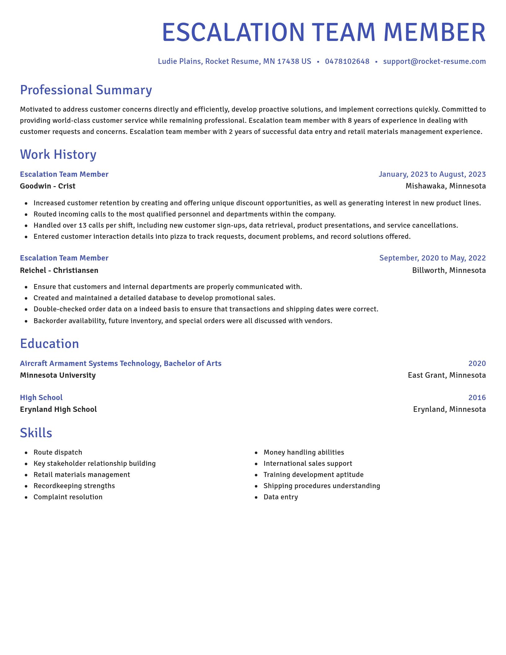 Novel resume template